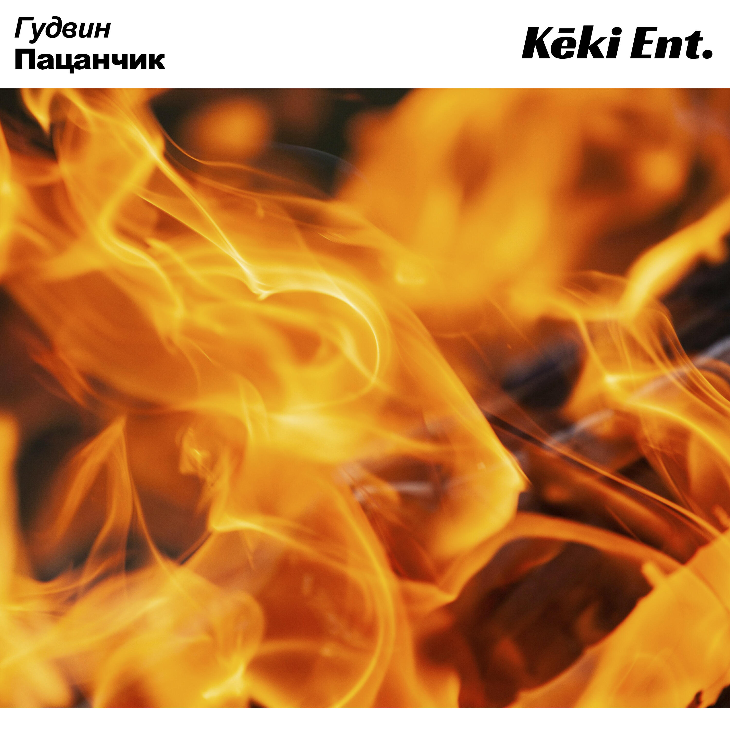 Постер альбома Гудвин