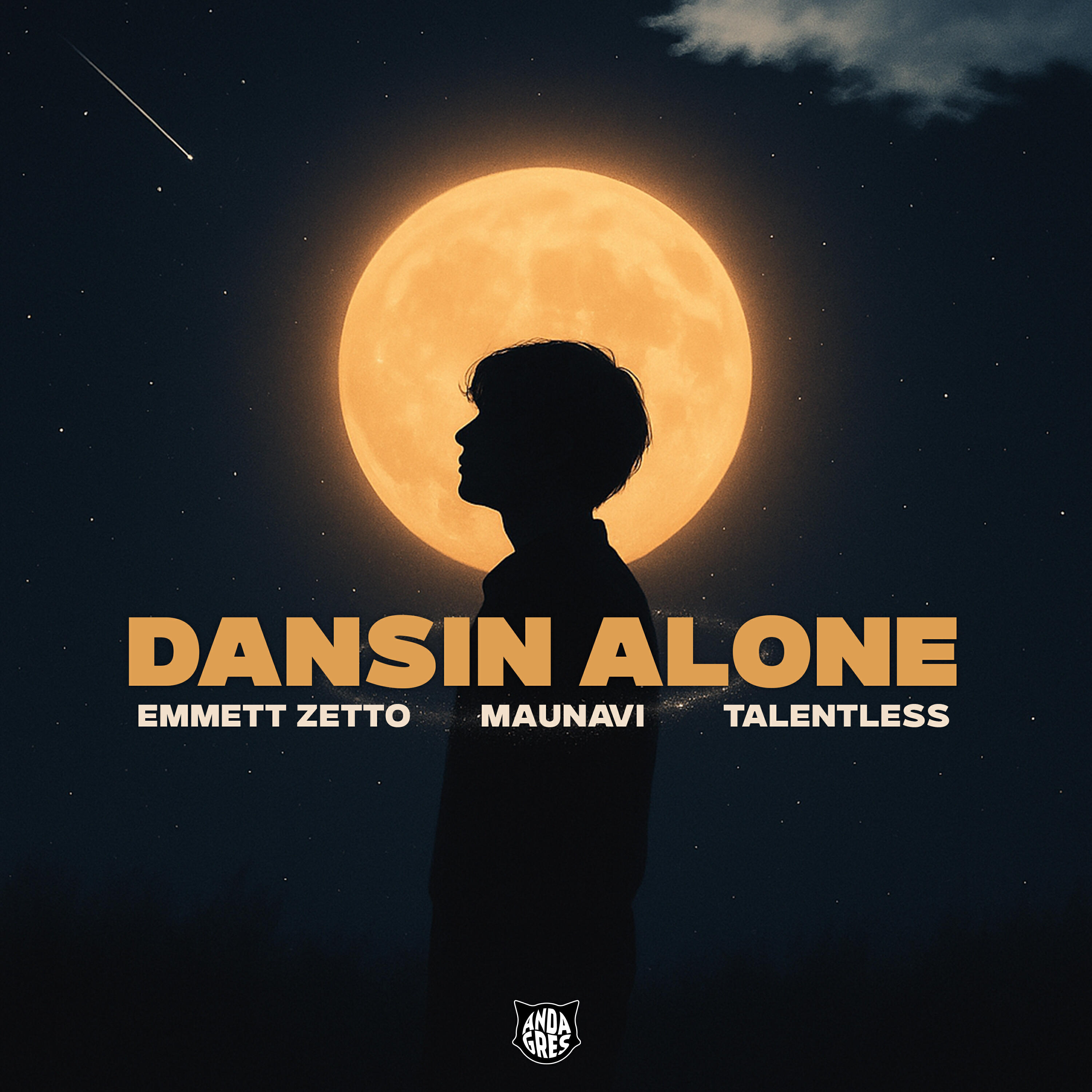 Постер альбома Dansin Alone (Slow)