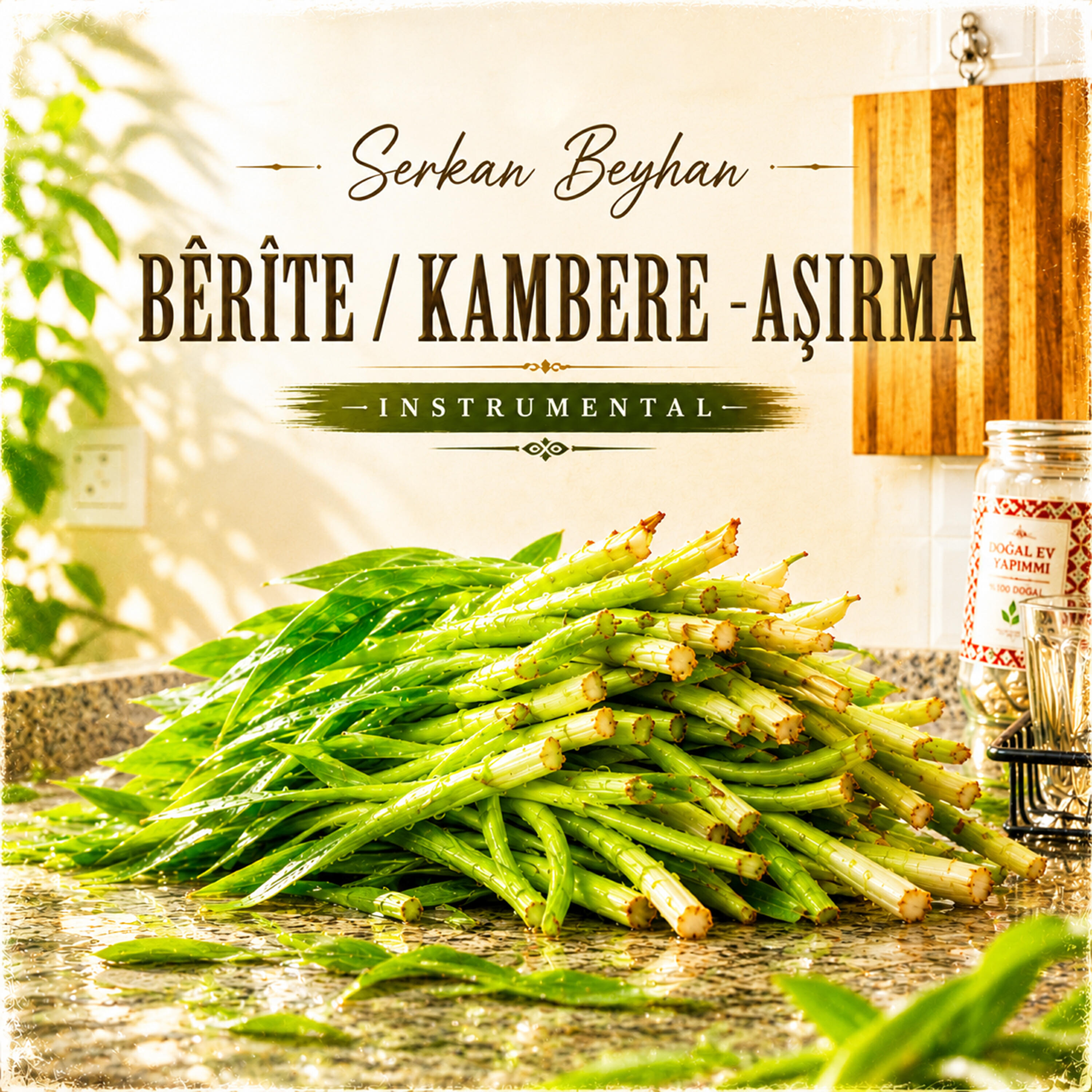 Релиз Bêrîte Kambere Aşırma Instrumental