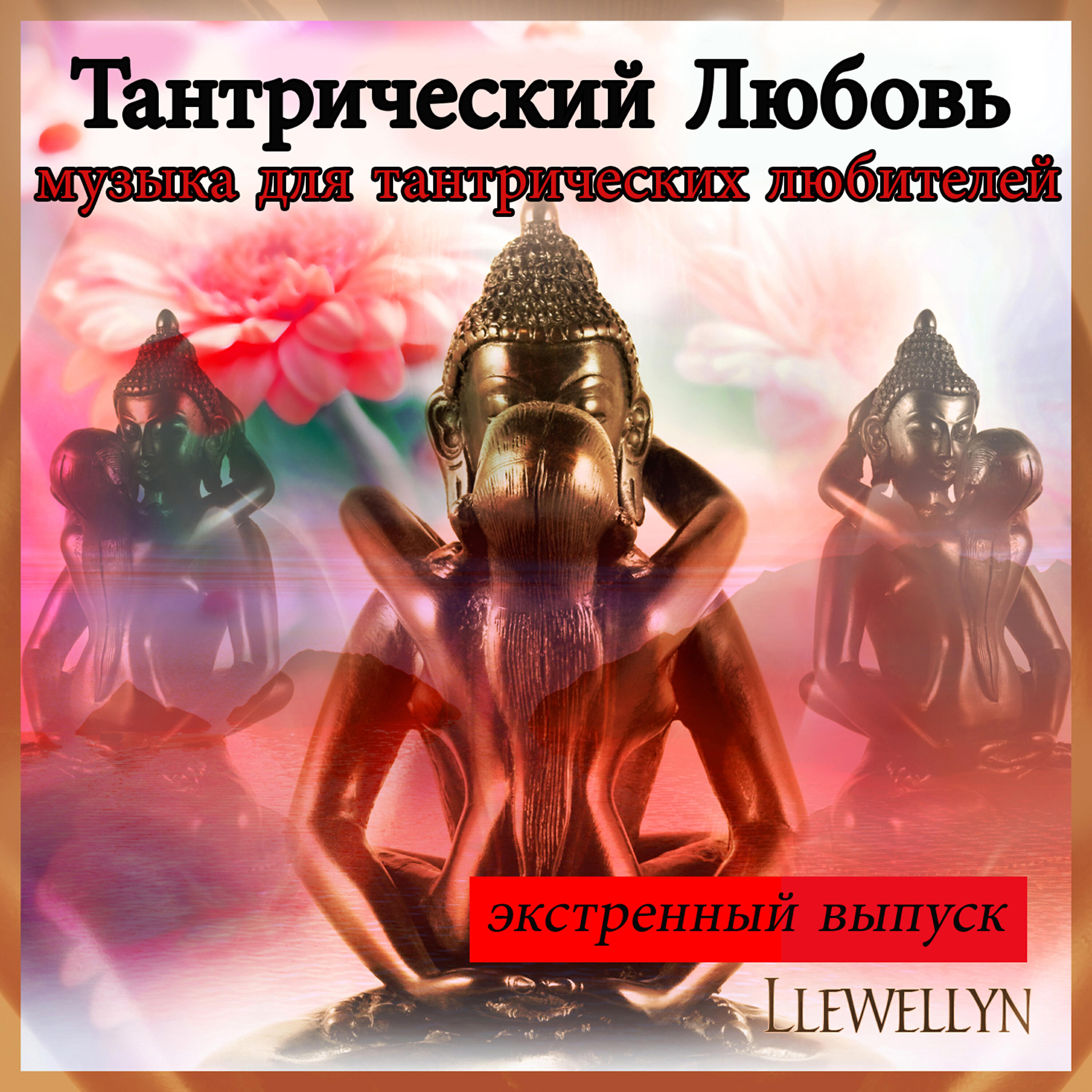 Релиз Тантрический Любовь: музыка для тантрических любителей: экстренный выпуск