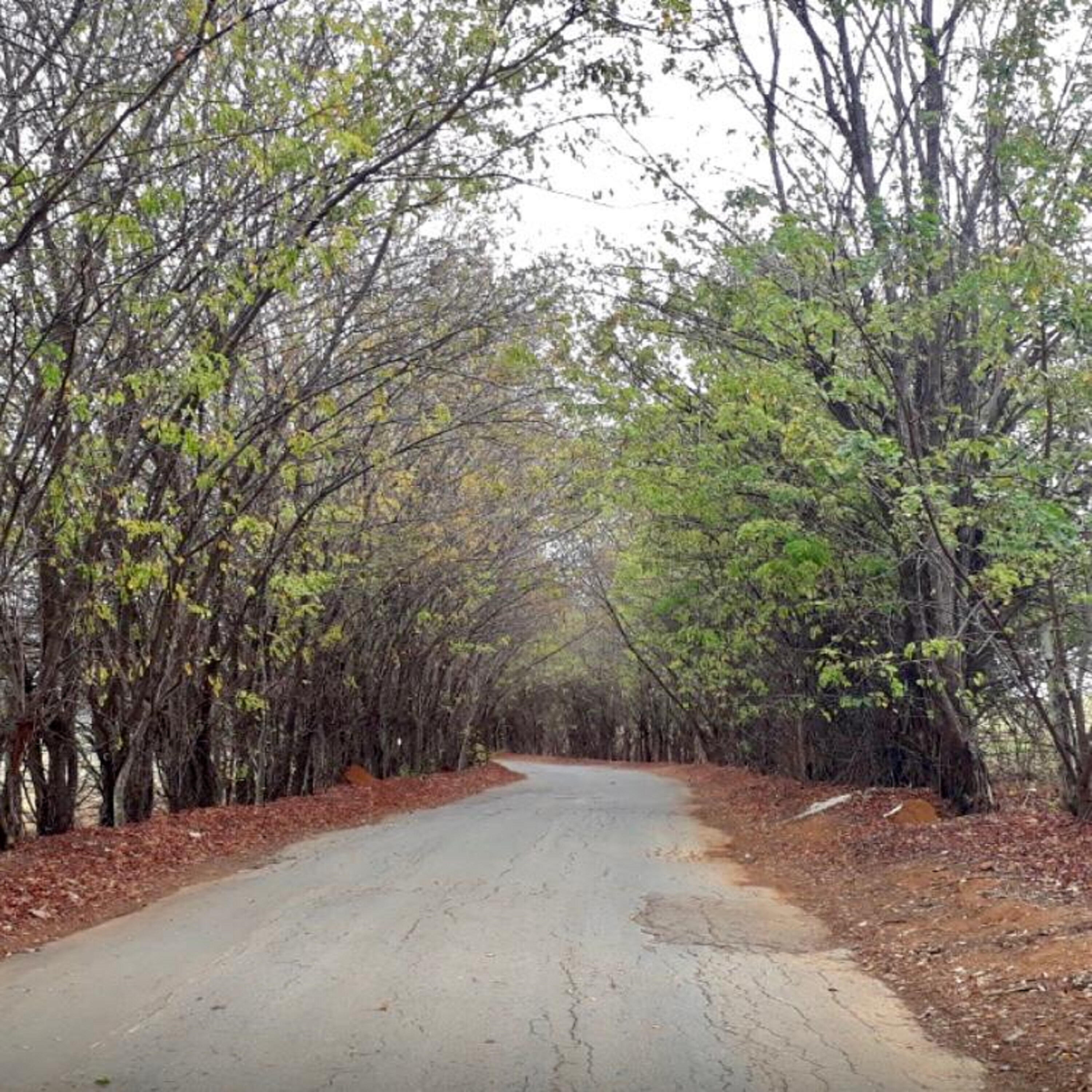 Релиз A Prática do Engano Vol.1