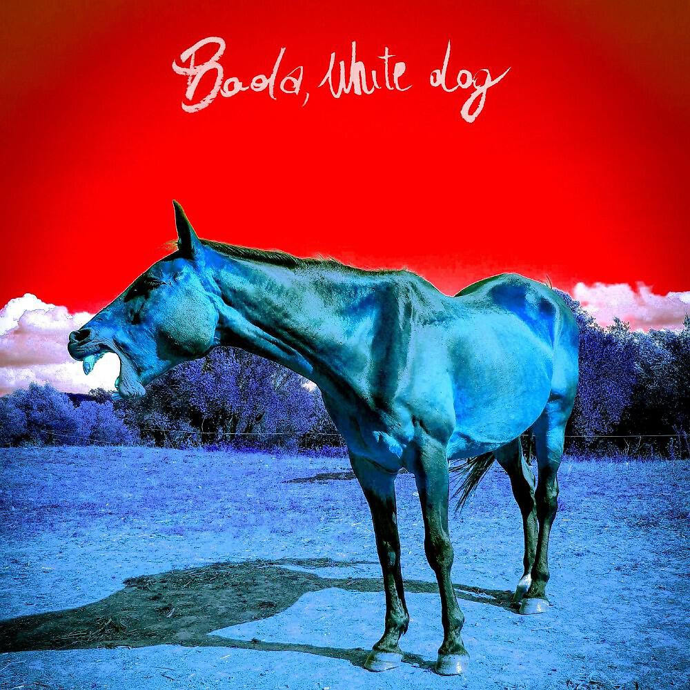 Релиз White Dog