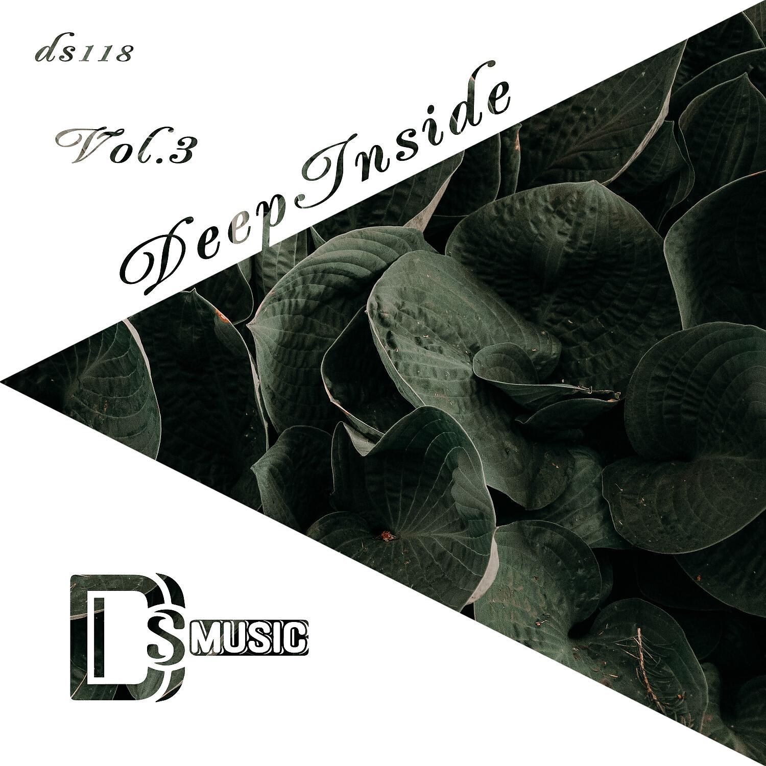 Релиз Deep Inside, Vol. 3