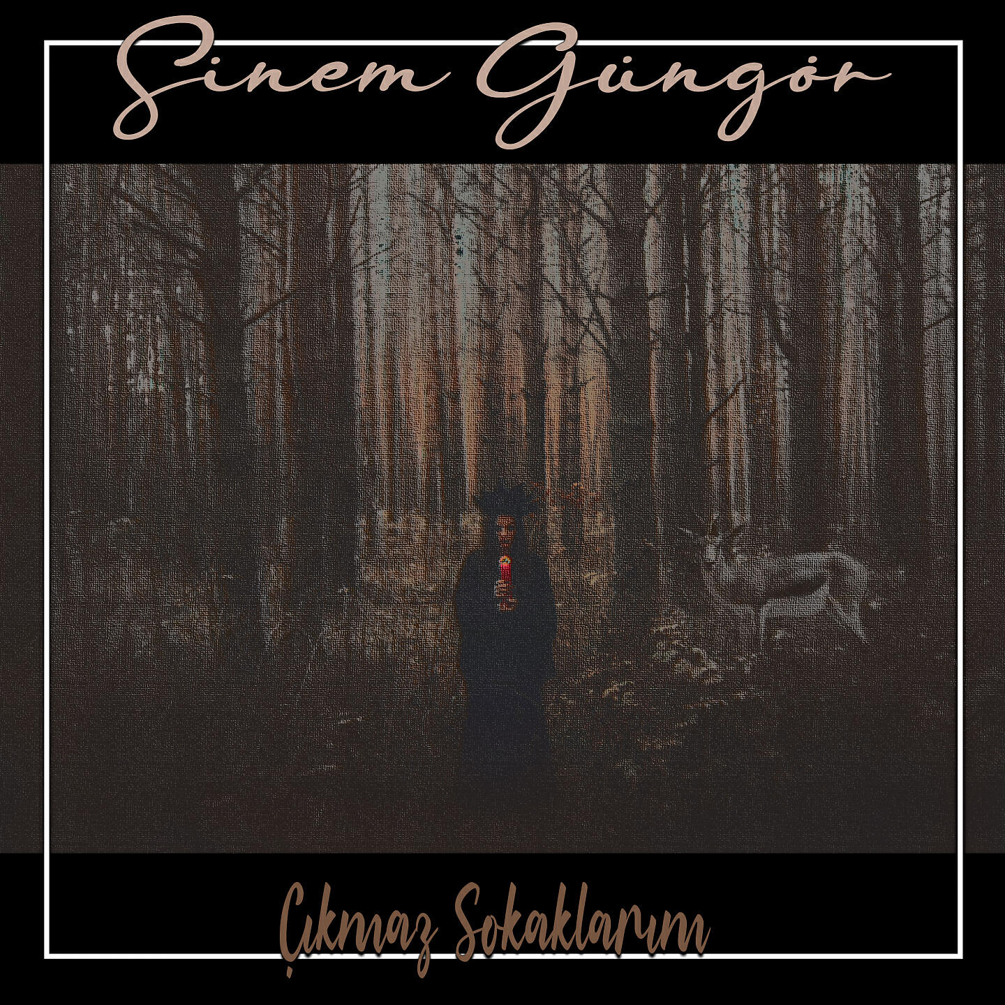 Релиз Çıkmaz Sokaklarım
