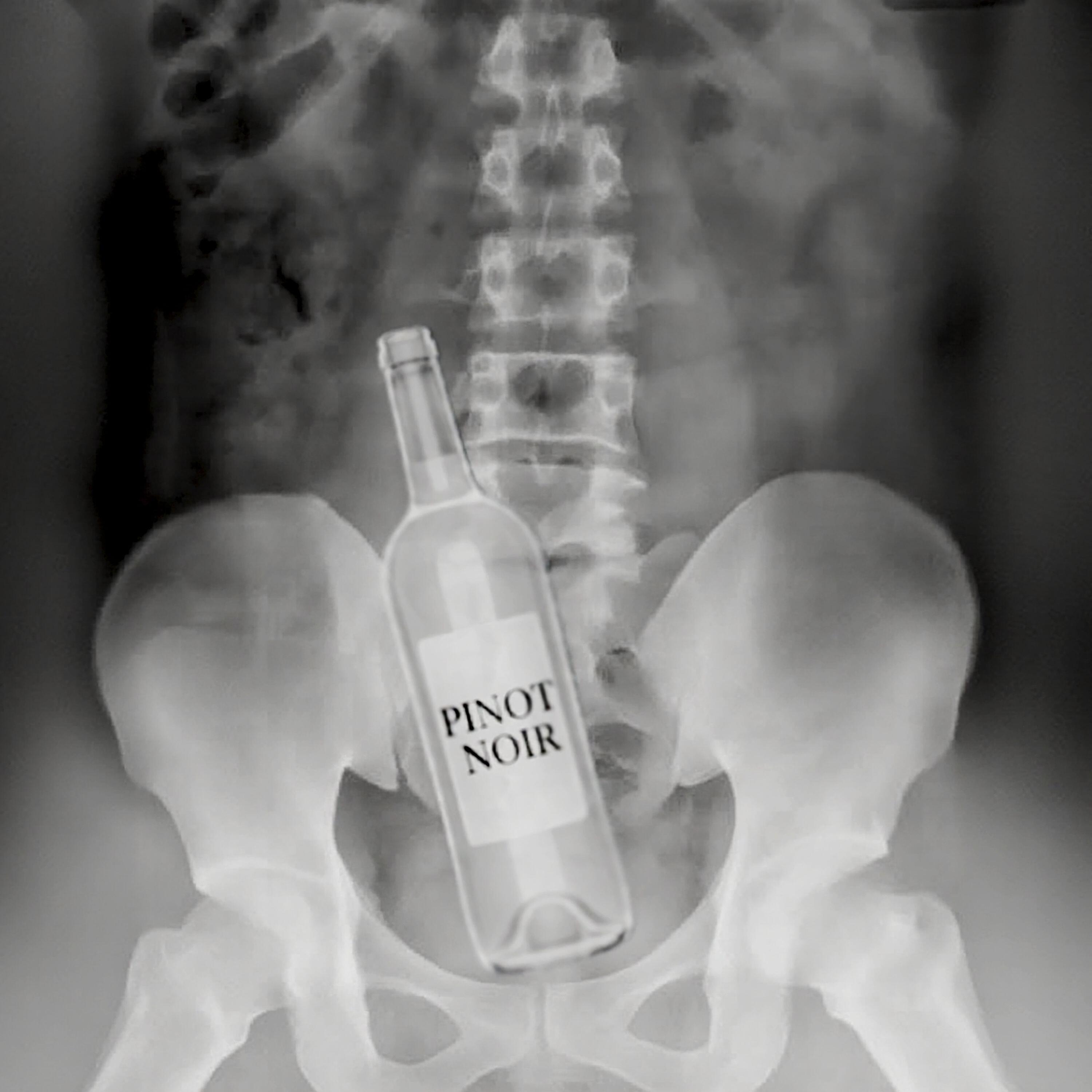 Релиз pinot noir