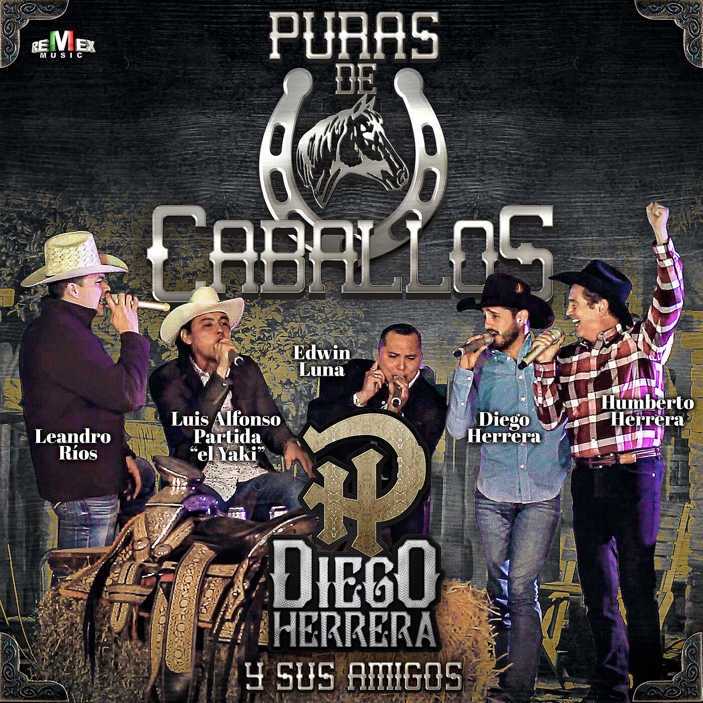 Постер альбома Diego Herrera y Sus Amigos - Puras de Caballos