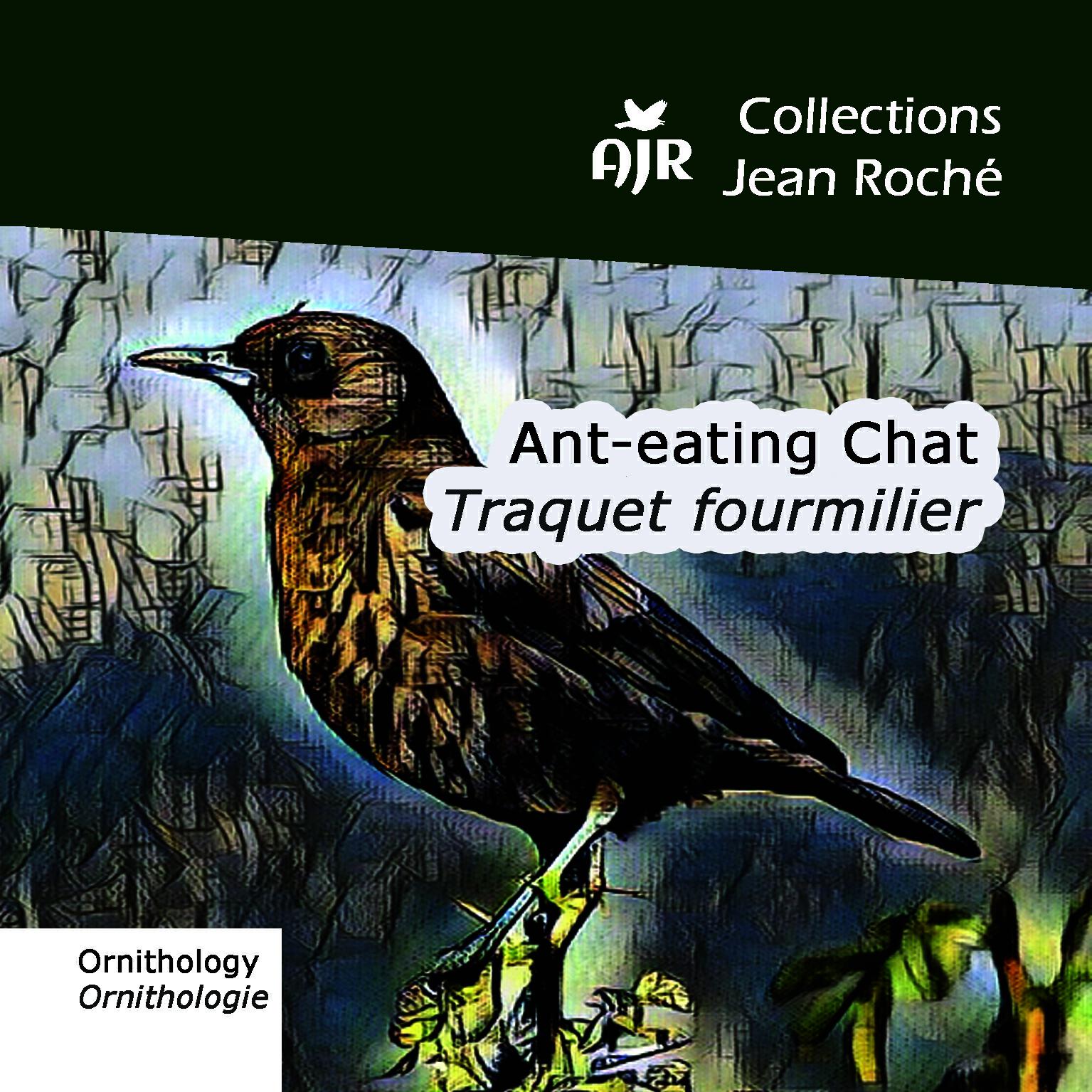 Релиз Ant-eating Chat-Traquet fourmilier-Myrmecocichla formicivora