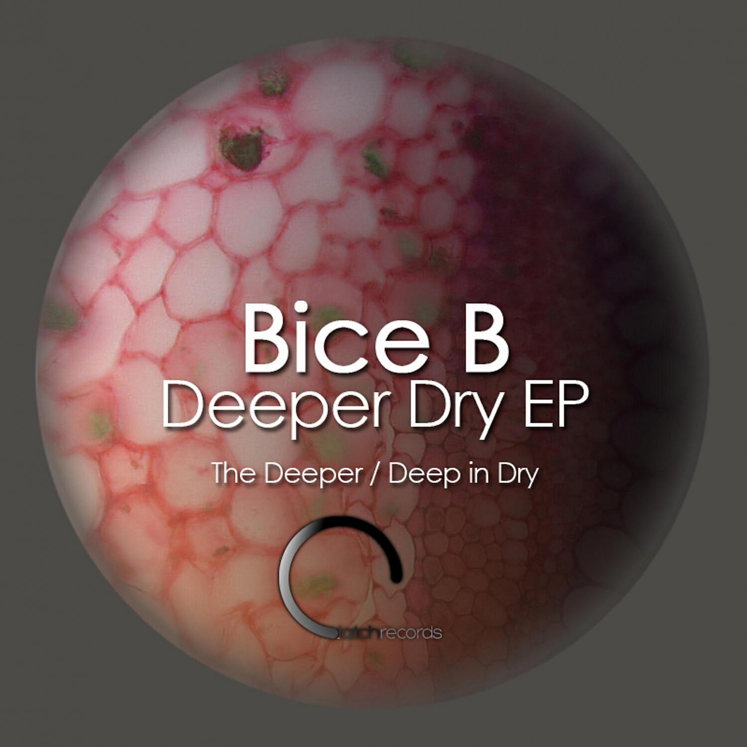 Релиз Deeper Dry