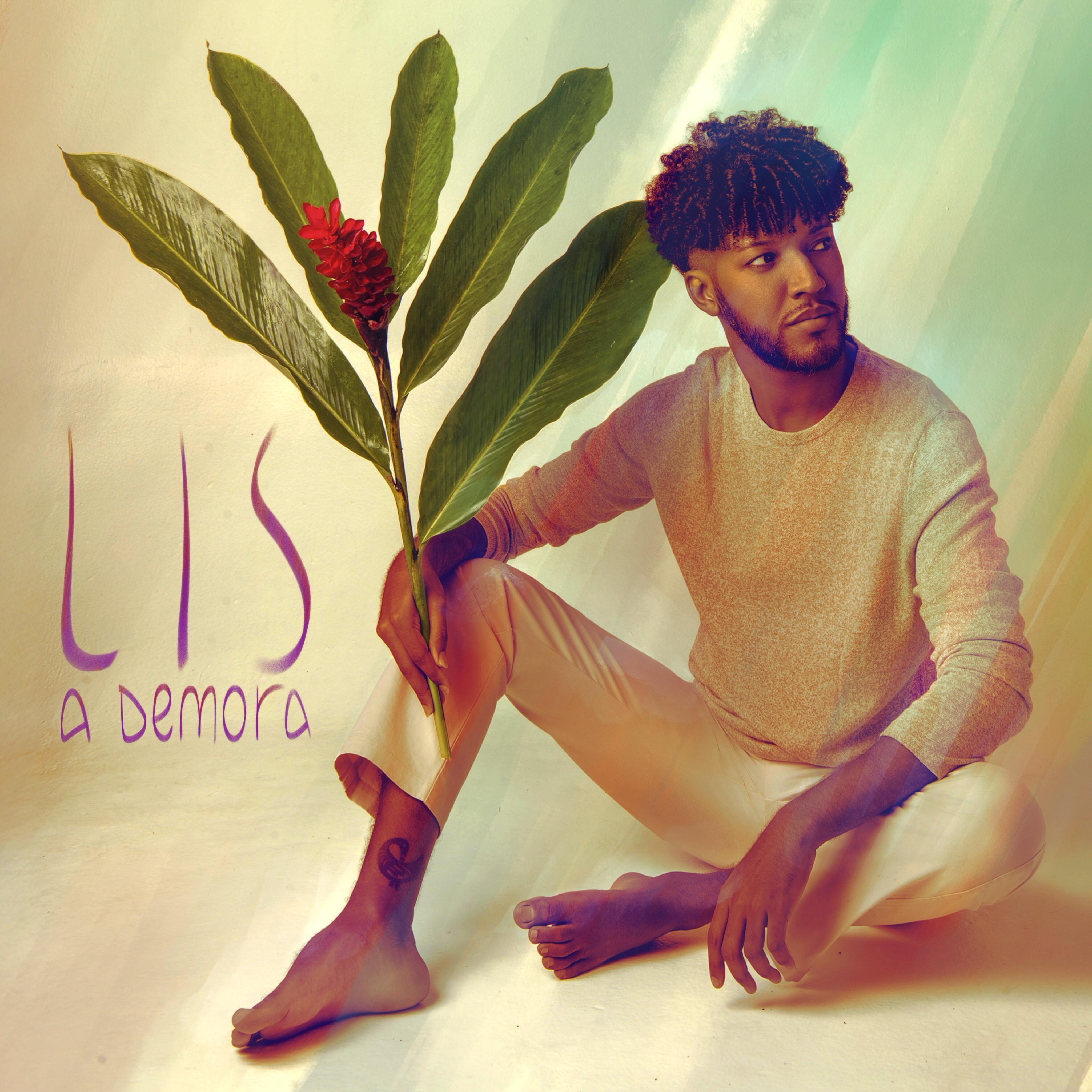 Скачать песню Lis - A Flor e o Passarinho бесплатно в MP3 для Android и iOS