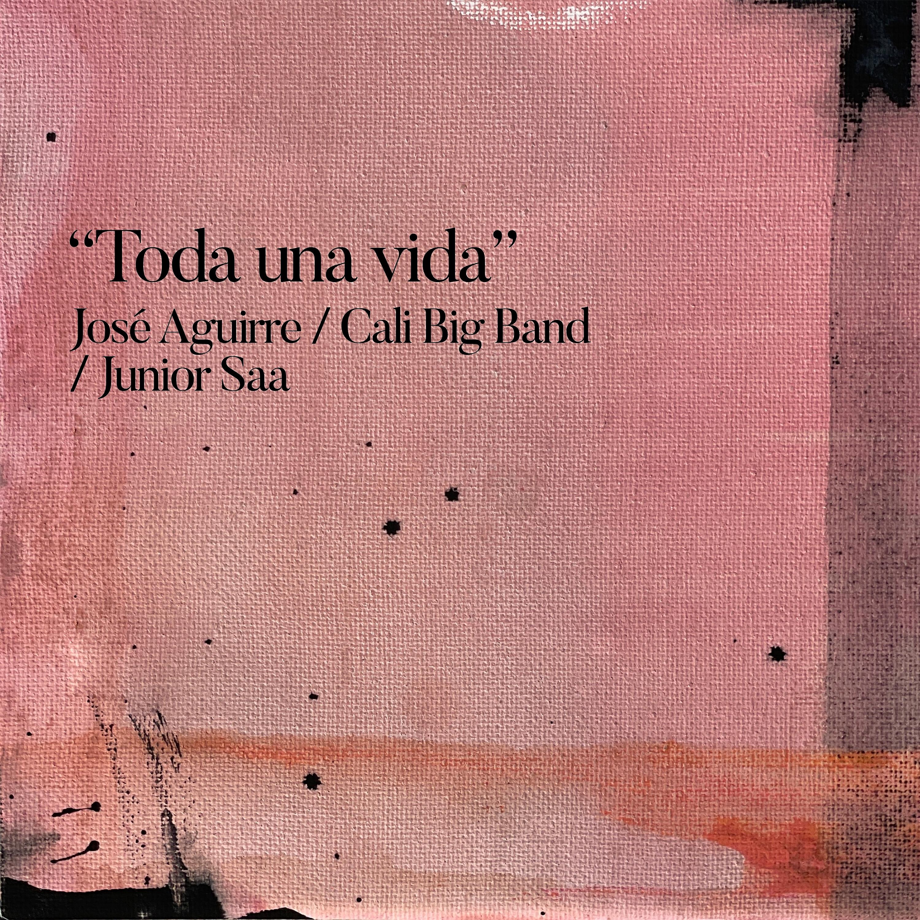 Релиз Toda una Vida