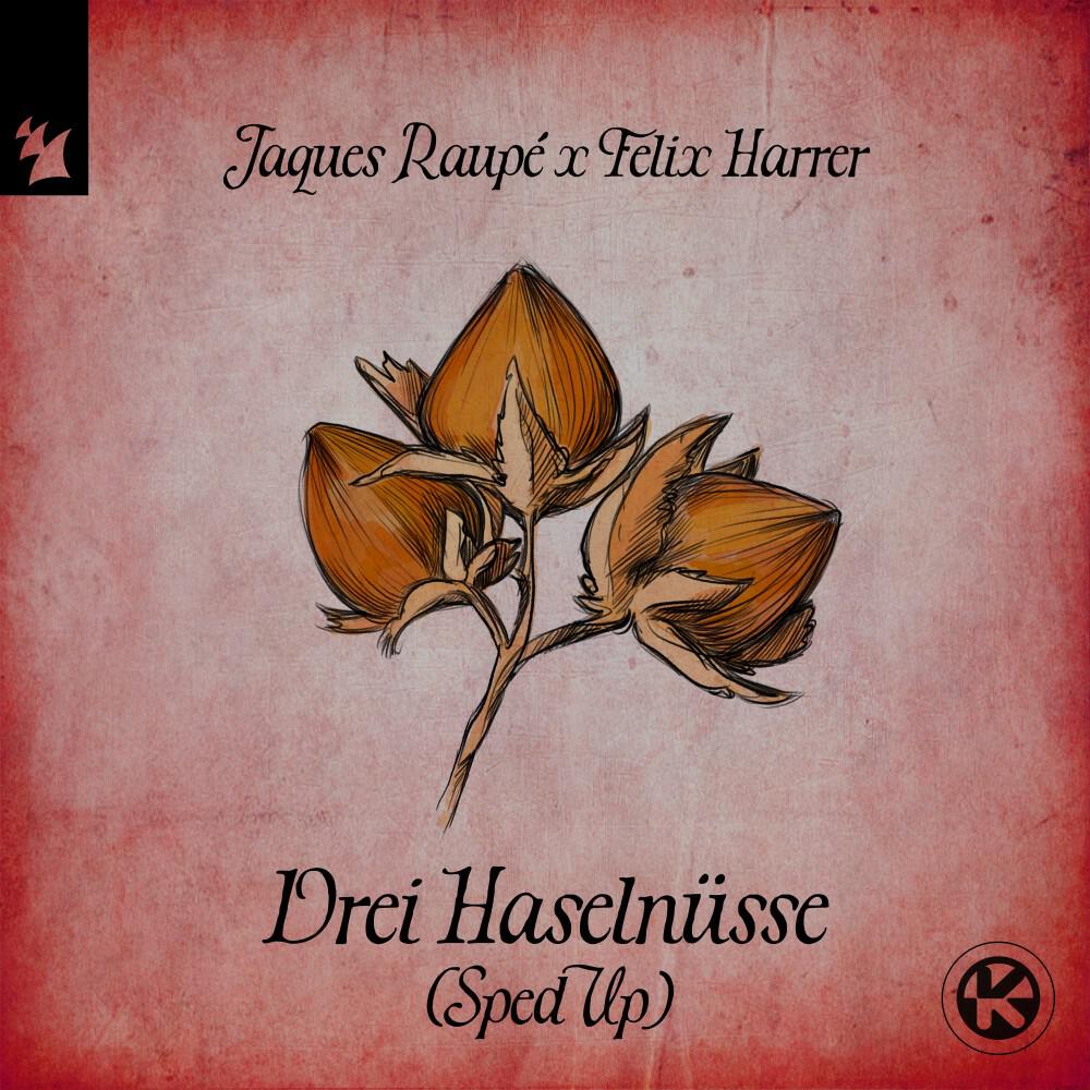 Релиз 3 Haselnüsse (Sped Up)