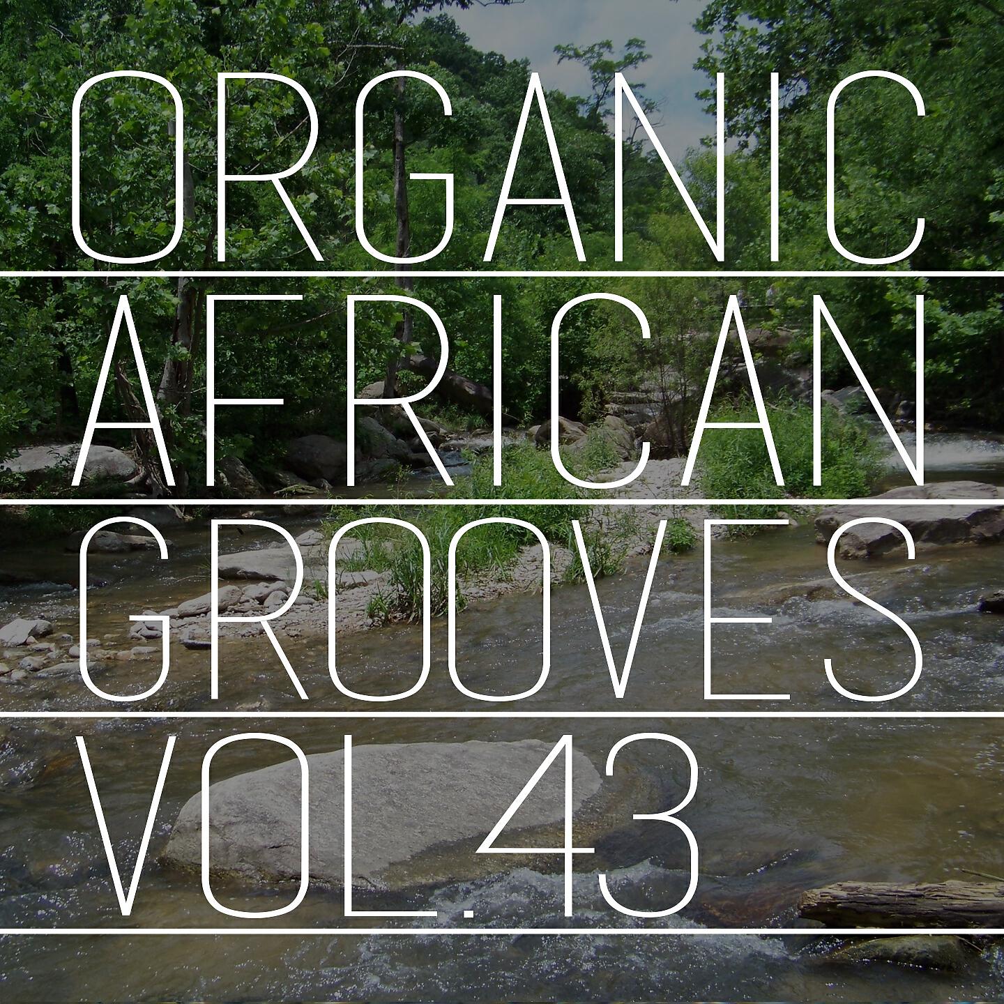 Релиз Organic African Grooves, Vol.43