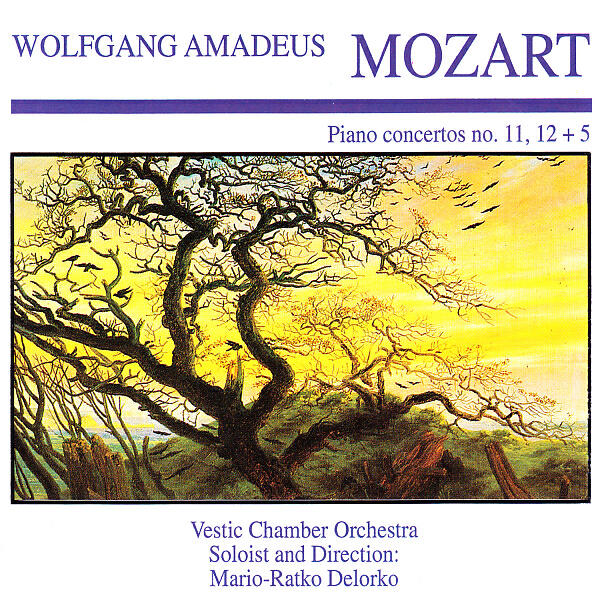 Vestic Chamber Orchestra