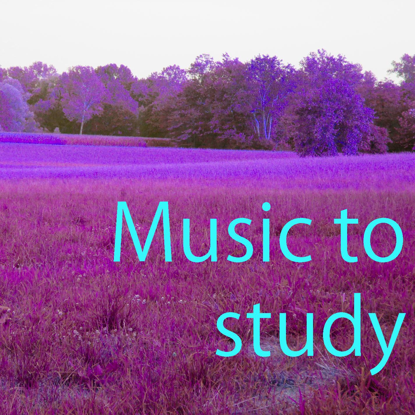 Релиз Music to Study Vol. 4