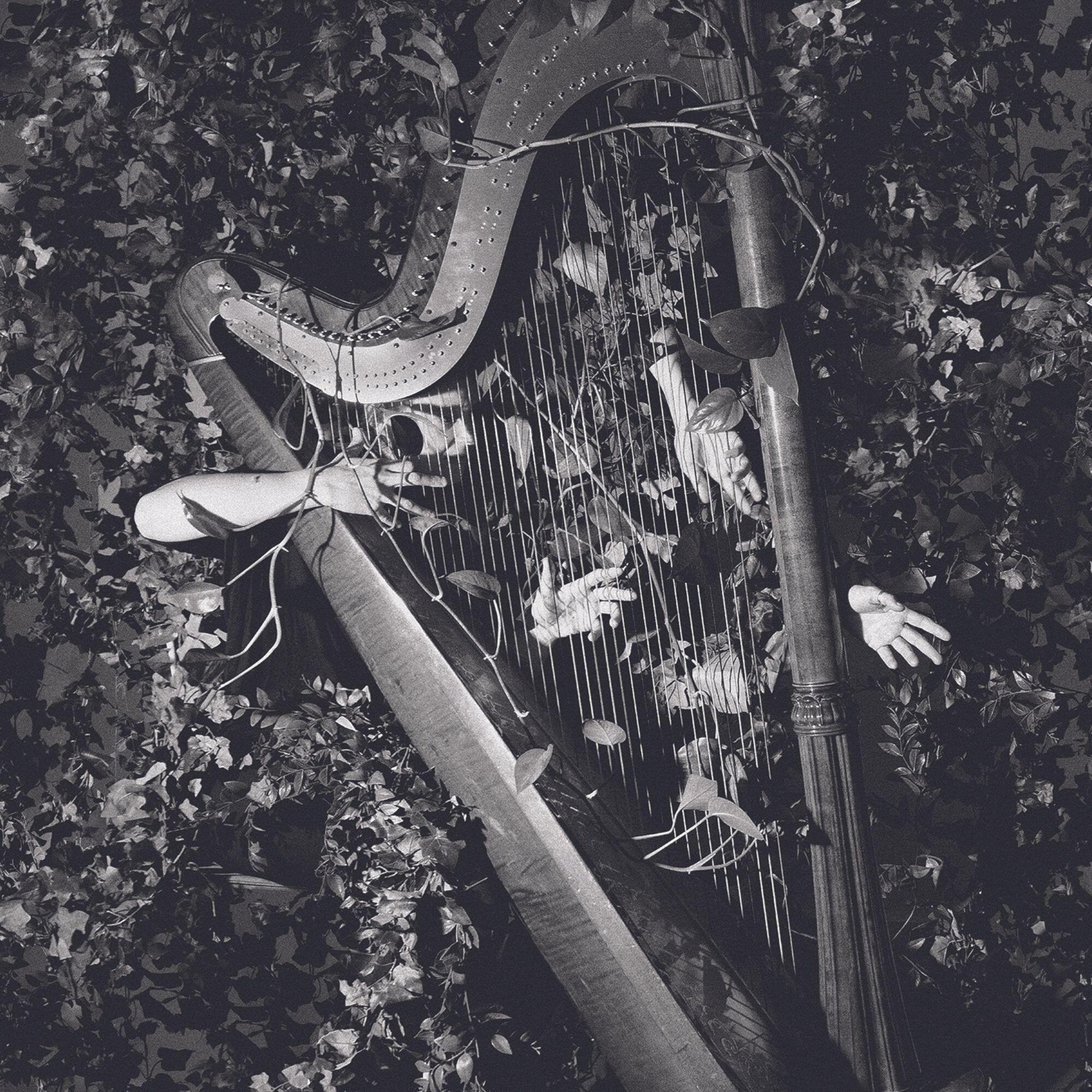 David Tunstall