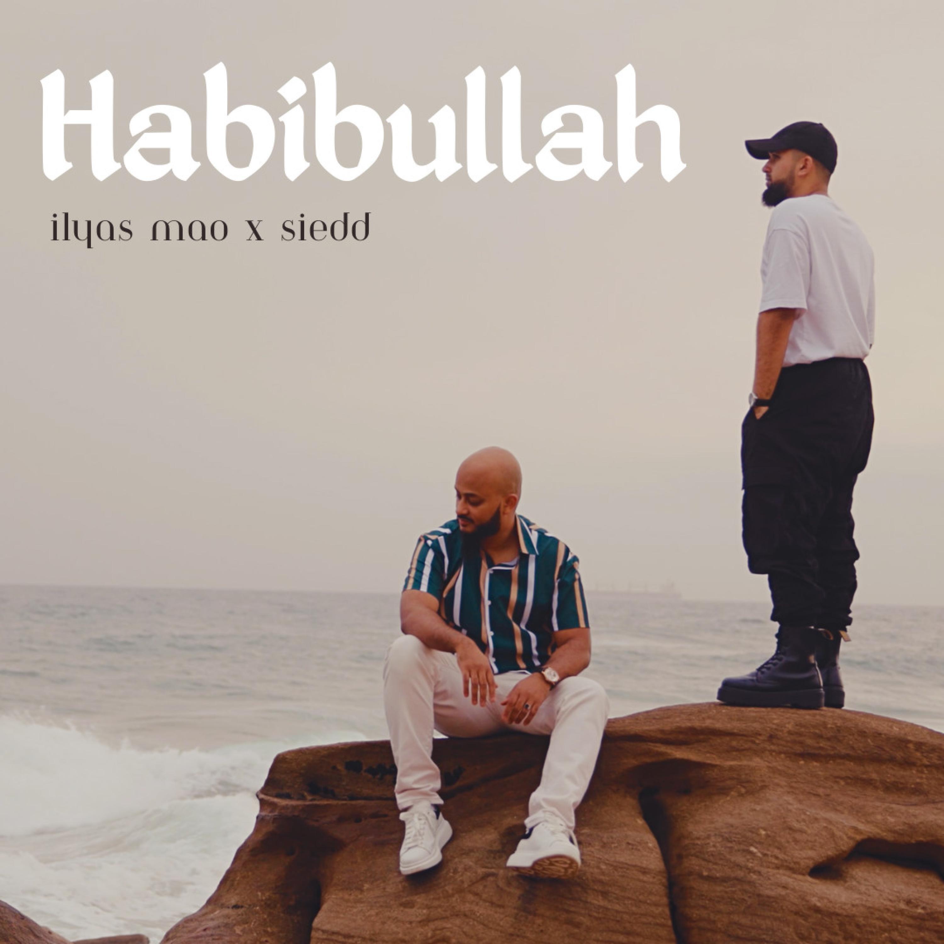 Релиз Habibullah