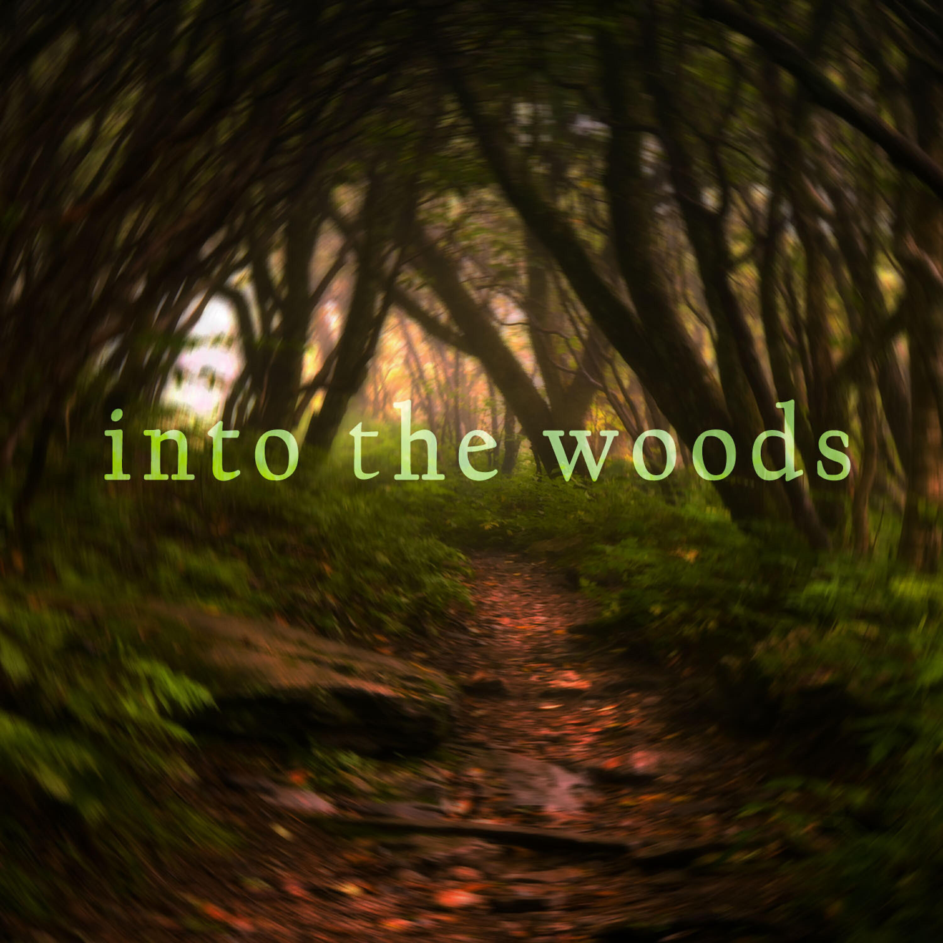Релиз Into the Woods