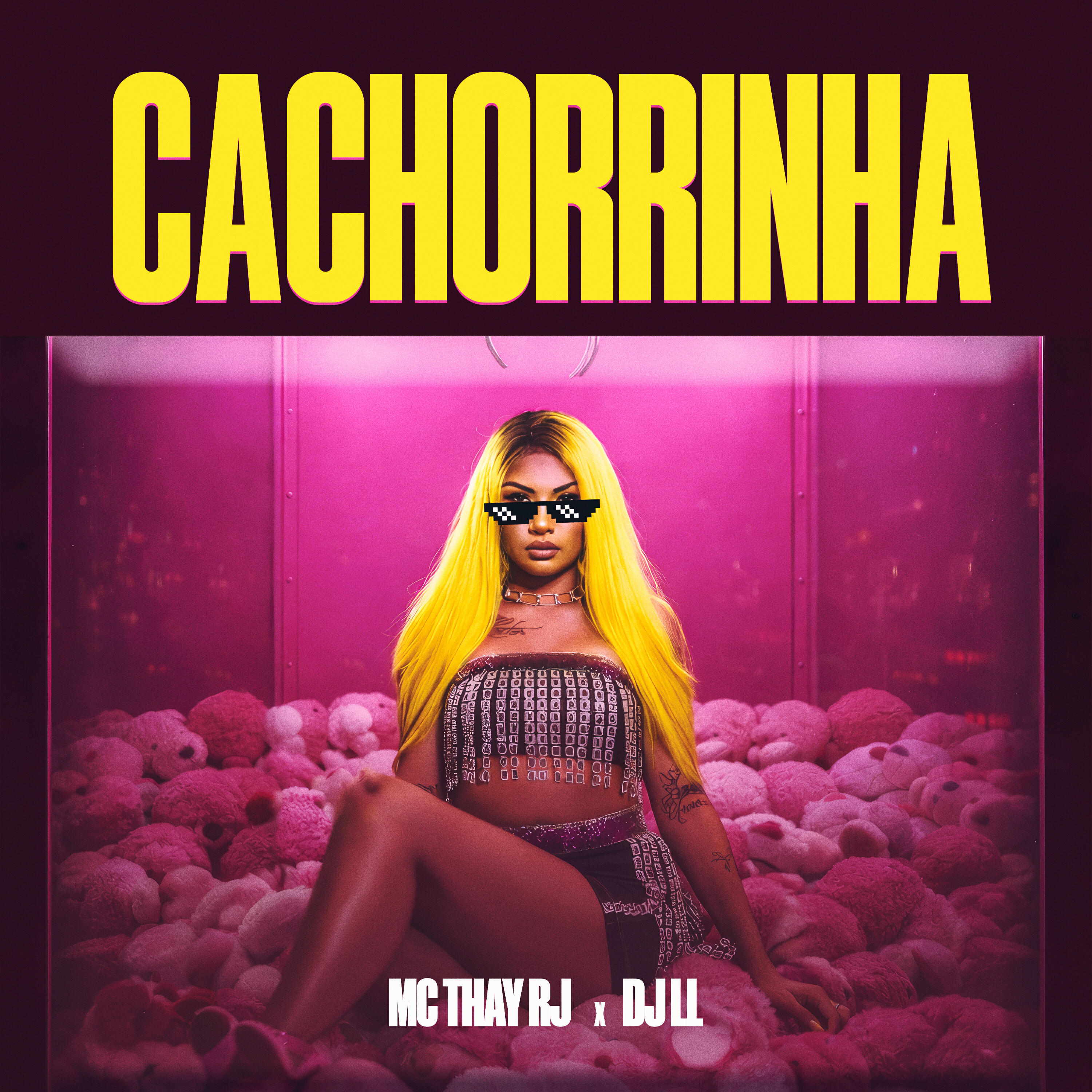 Релиз Cachorrinha