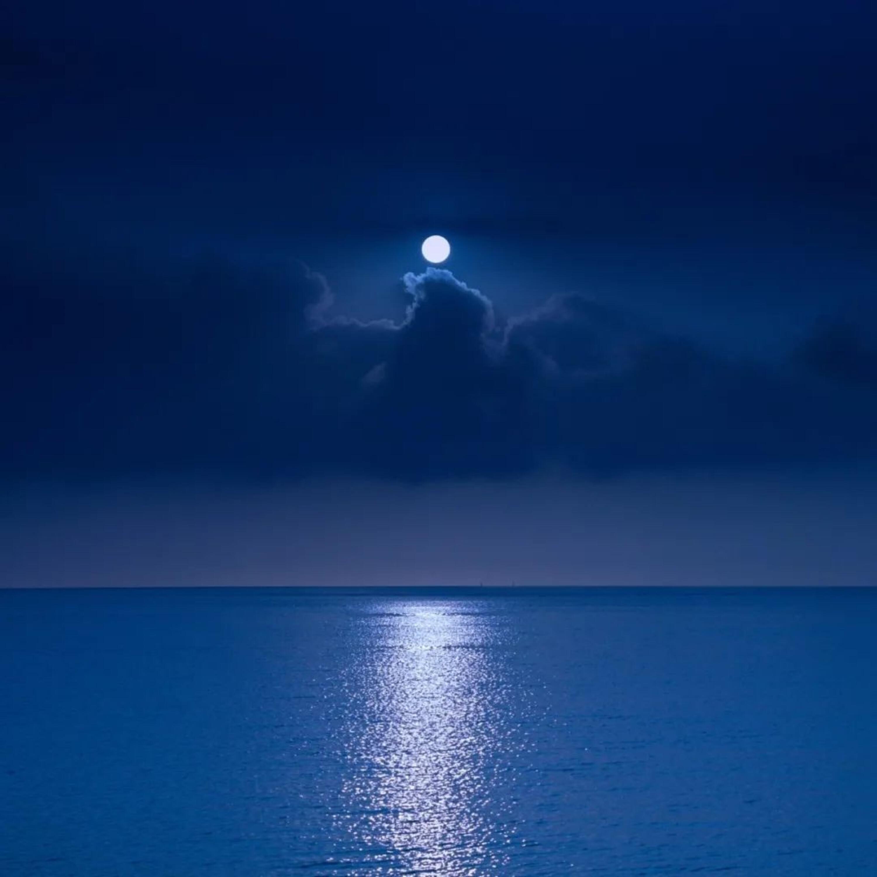 Релиз 你若懂我