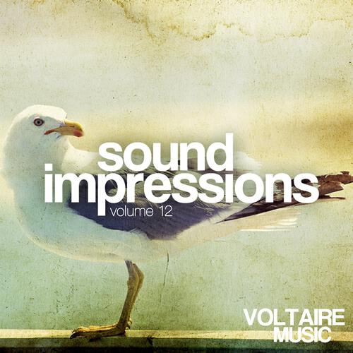 Релиз Sound Impressions, Vol. 12