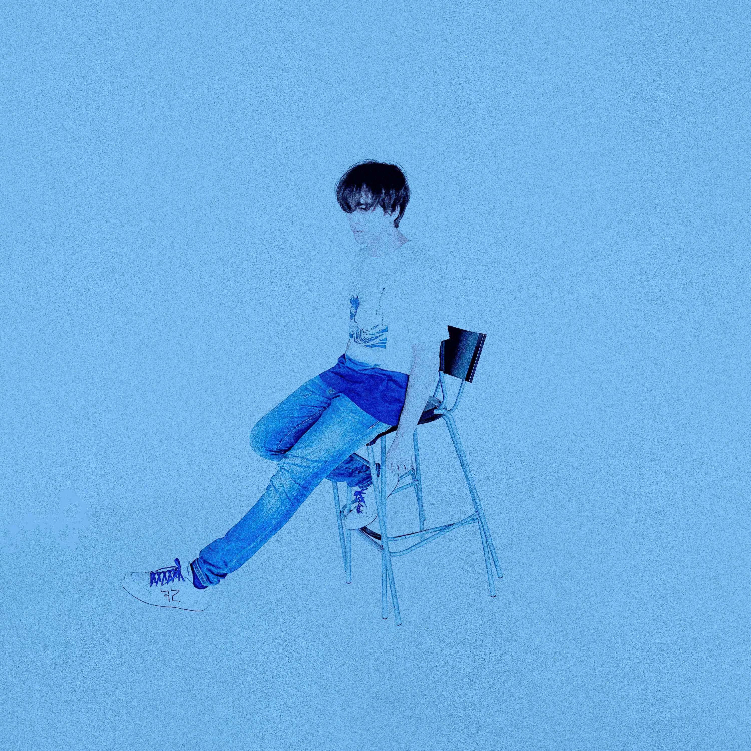 Кошки