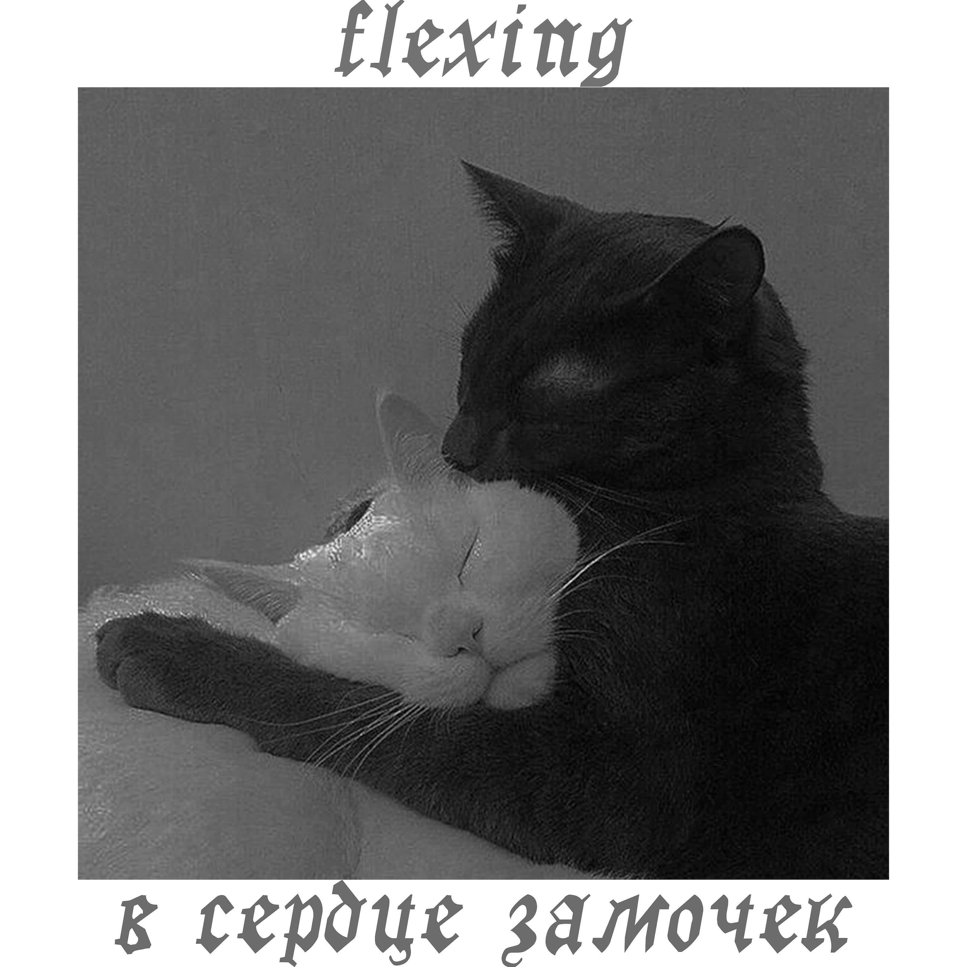Релиз В сердце замочек