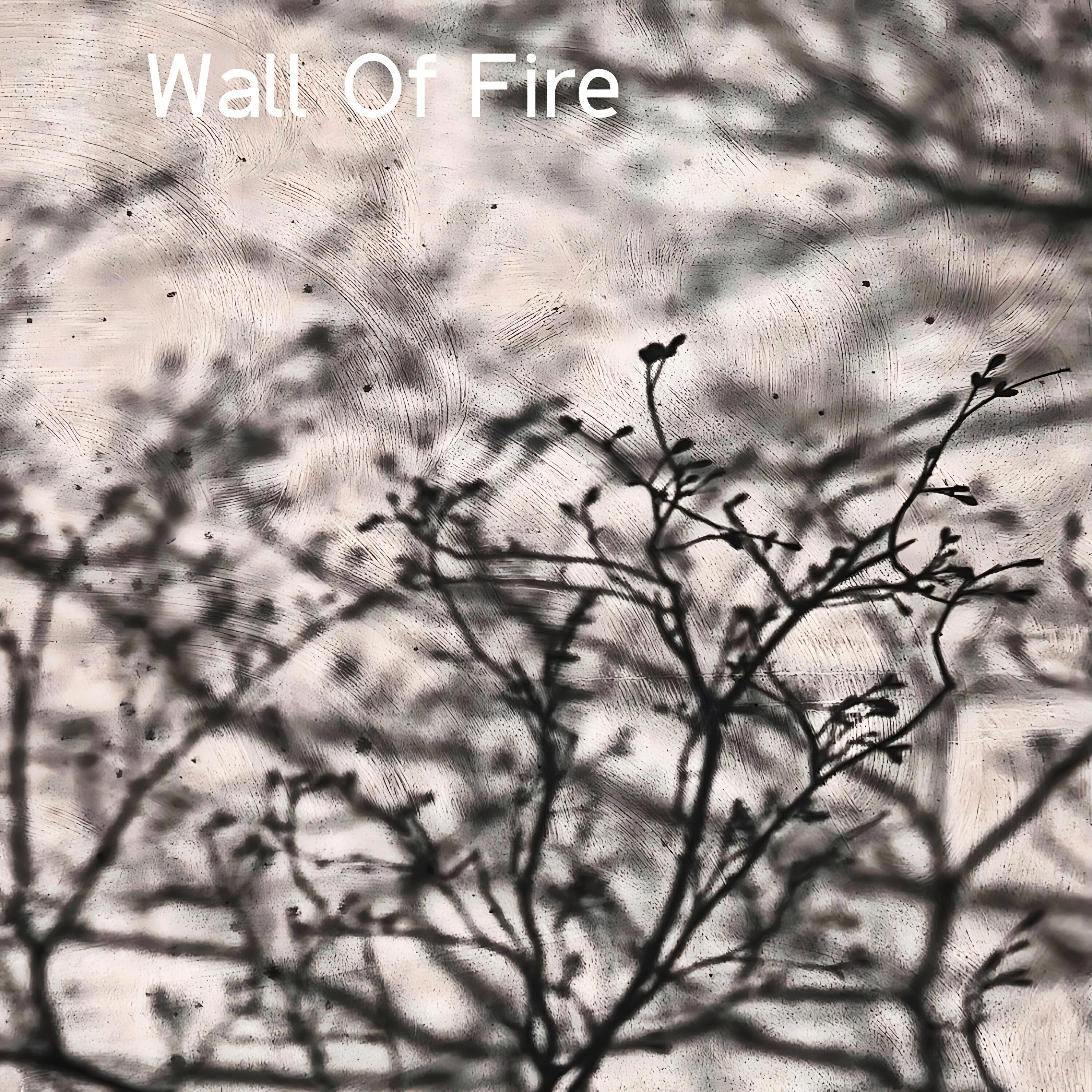 Релиз Wall Of Fire