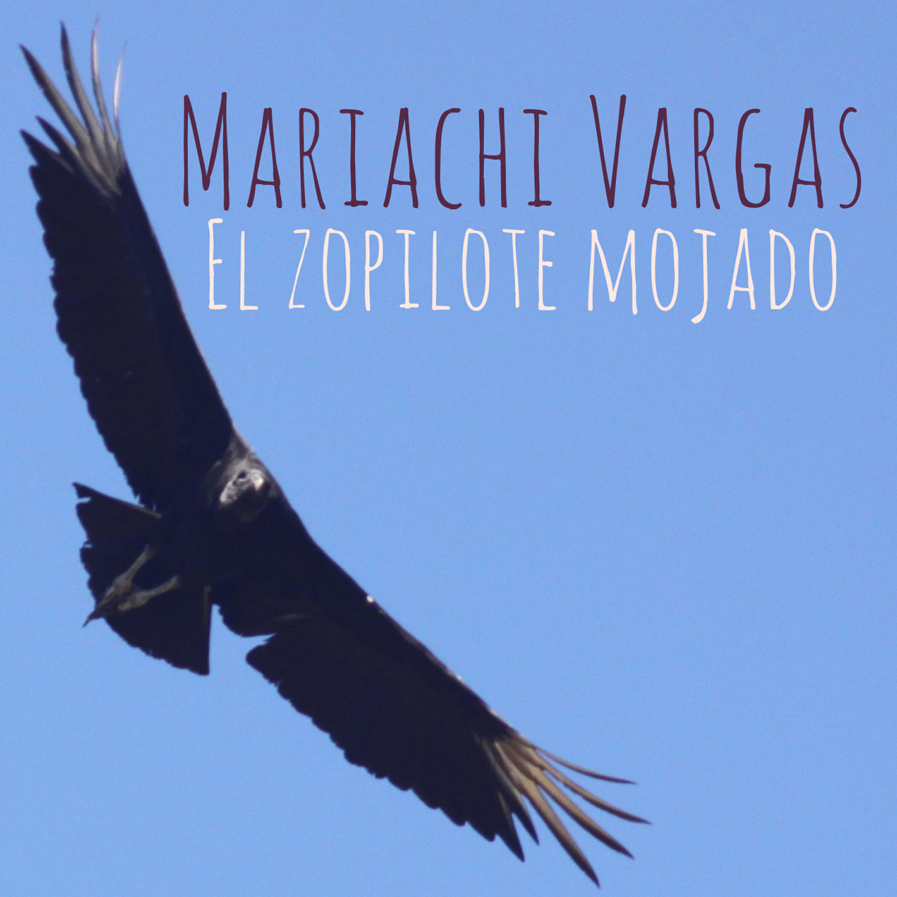 Релиз El Zopilote Mojado