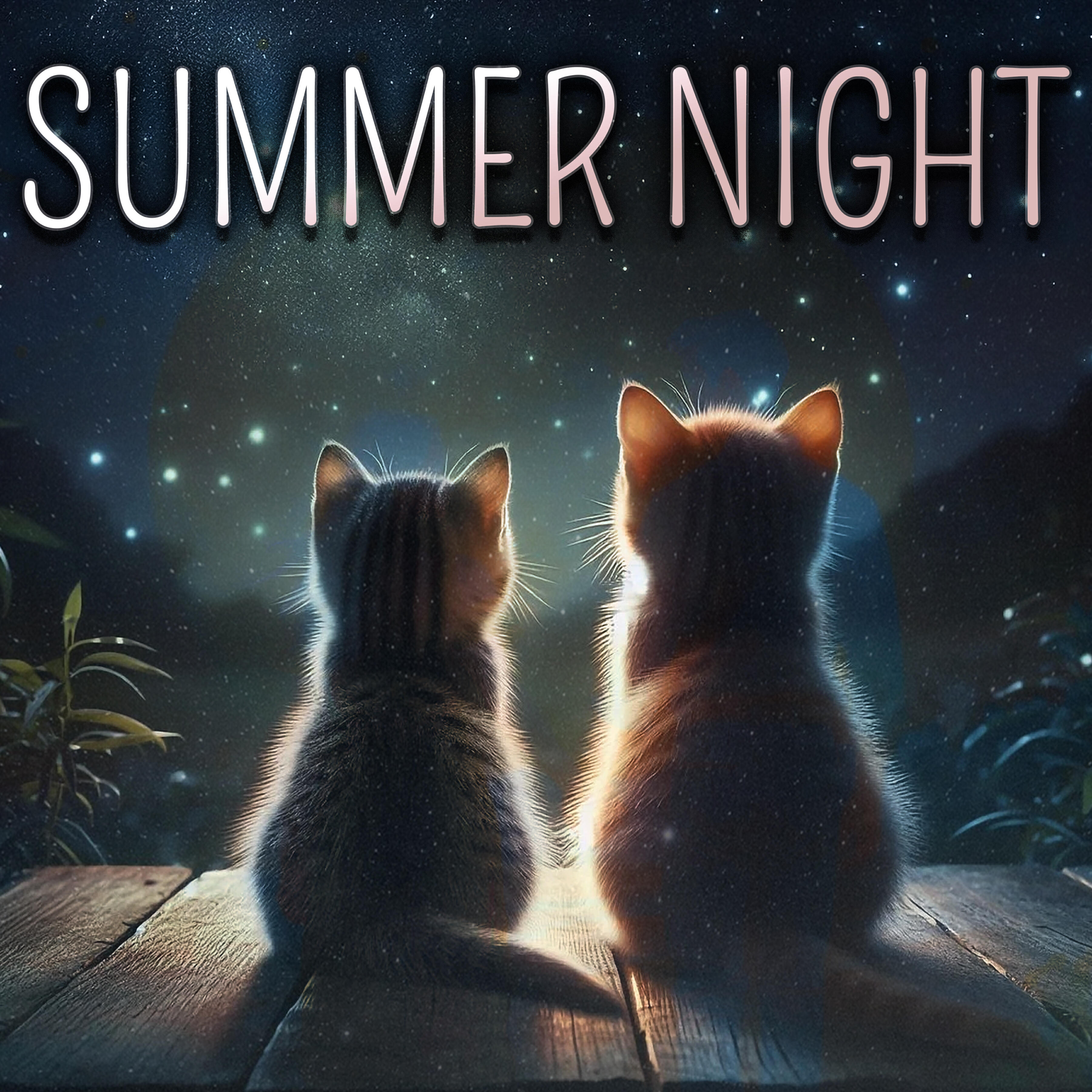 Постер альбома Summer Night