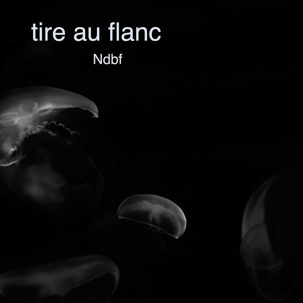 Релиз Tire au flanc