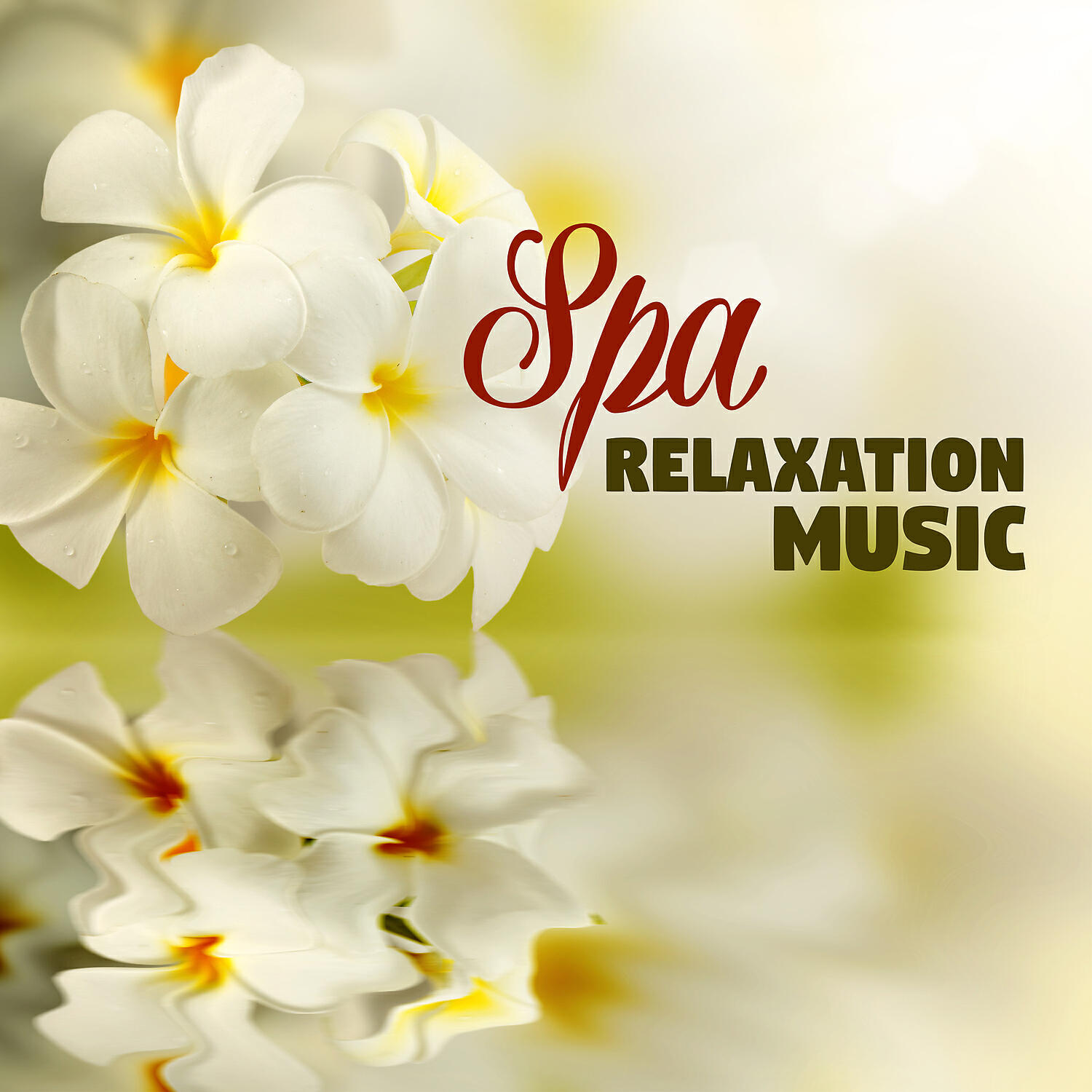 Релиз Spa Relaxation Music – Perfect Relaxation, Healing Touch, Background Music, Spa and Wellness, Ambient Calmness, Soft Sounds