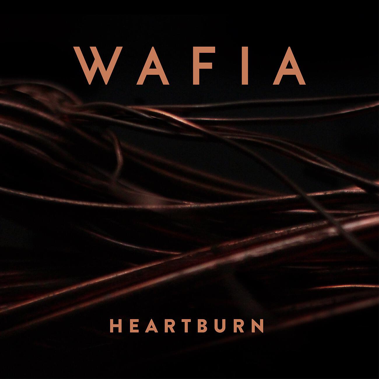 Постер альбома Heartburn
