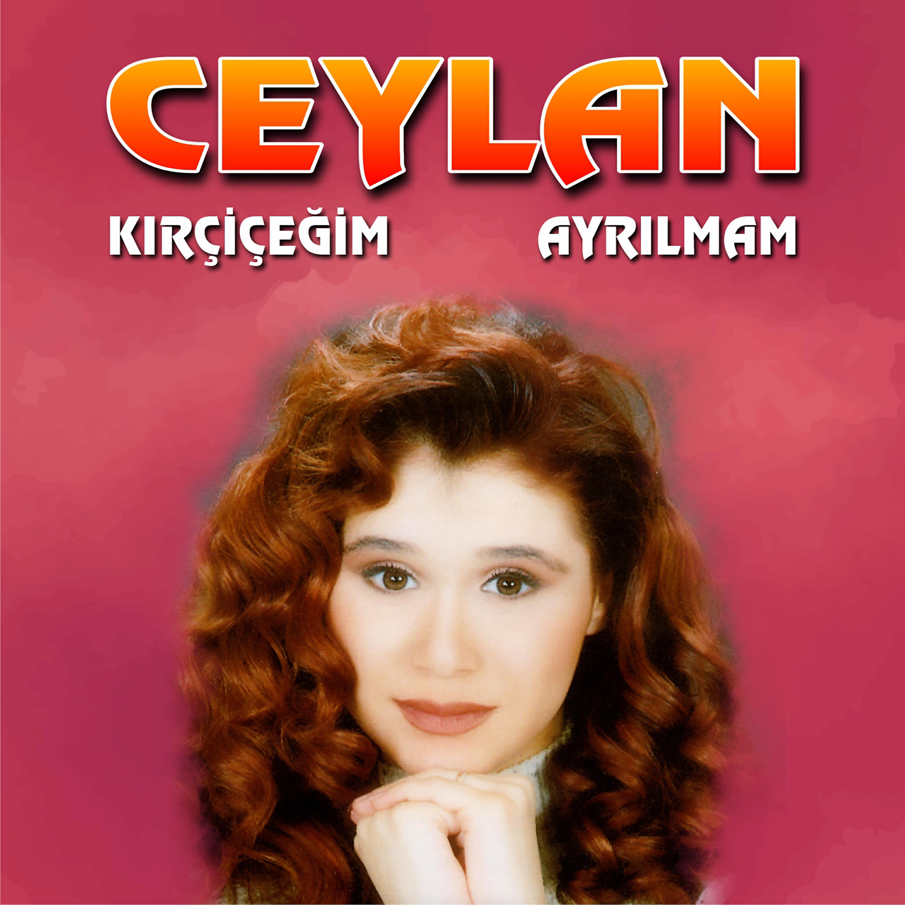 Релиз Ayrılmam / Kır Çiçeğim