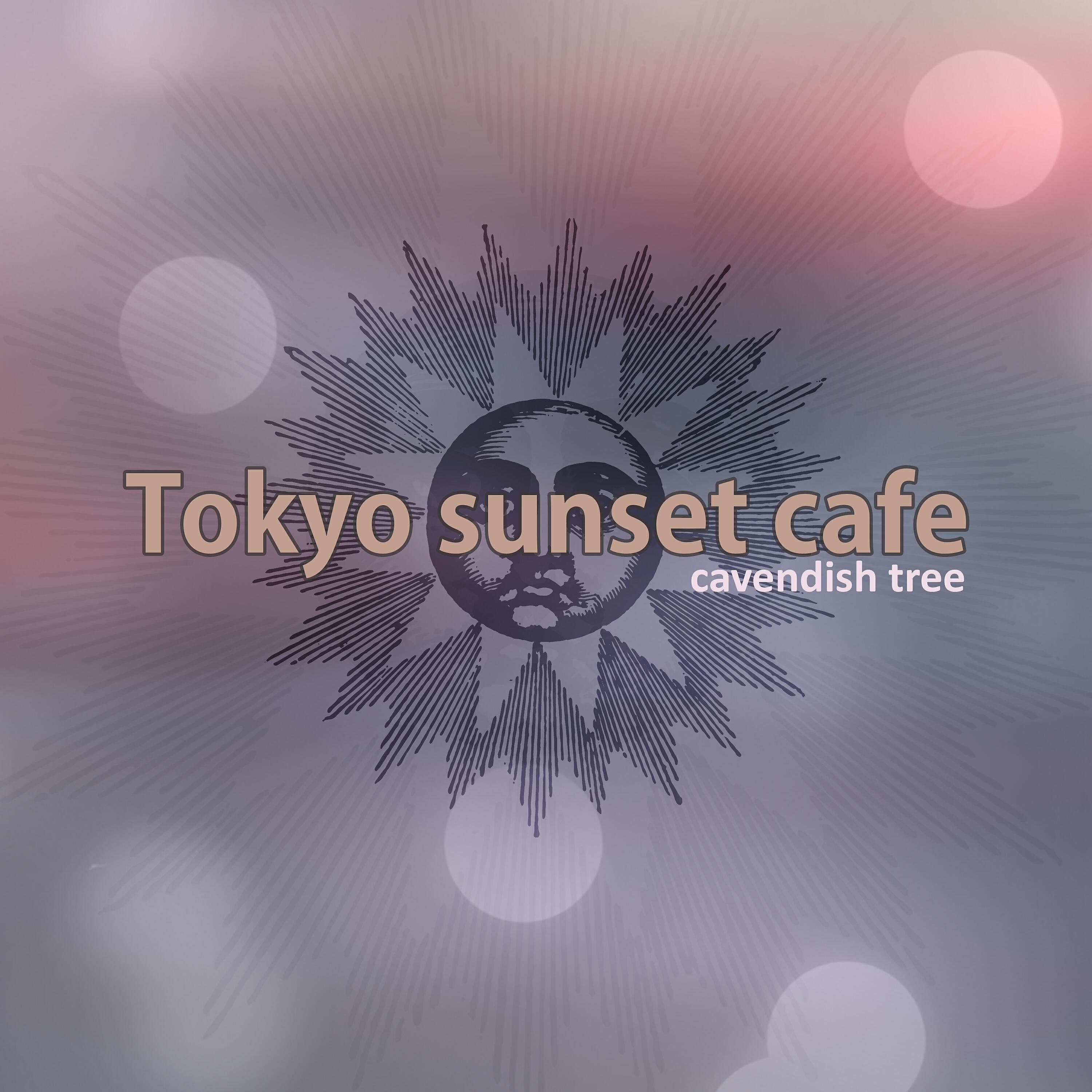 Релиз Tokyo Sunset Cafe