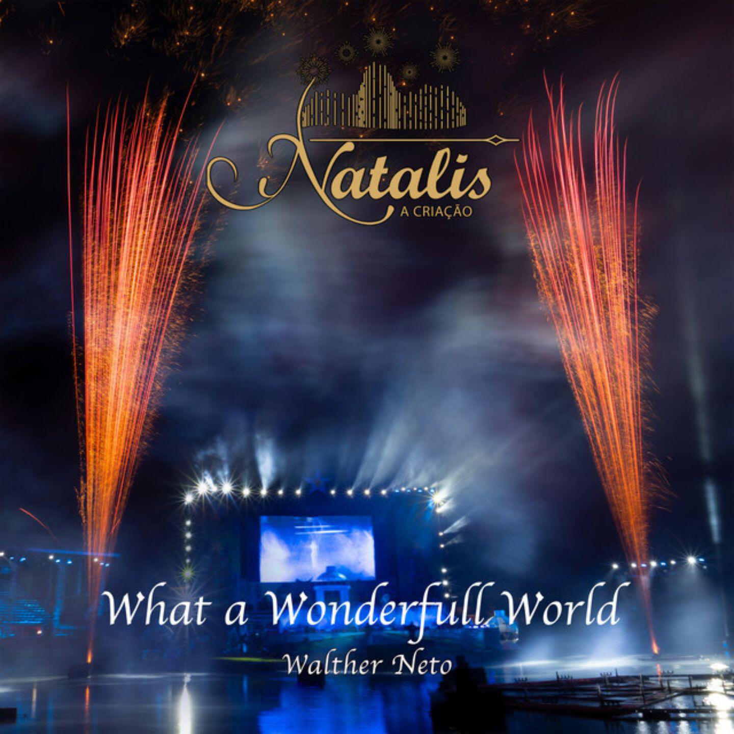 Релиз What a Wonderfull World (Natalis)