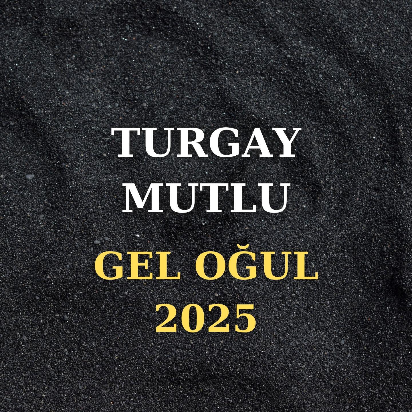Turgay Mutlu