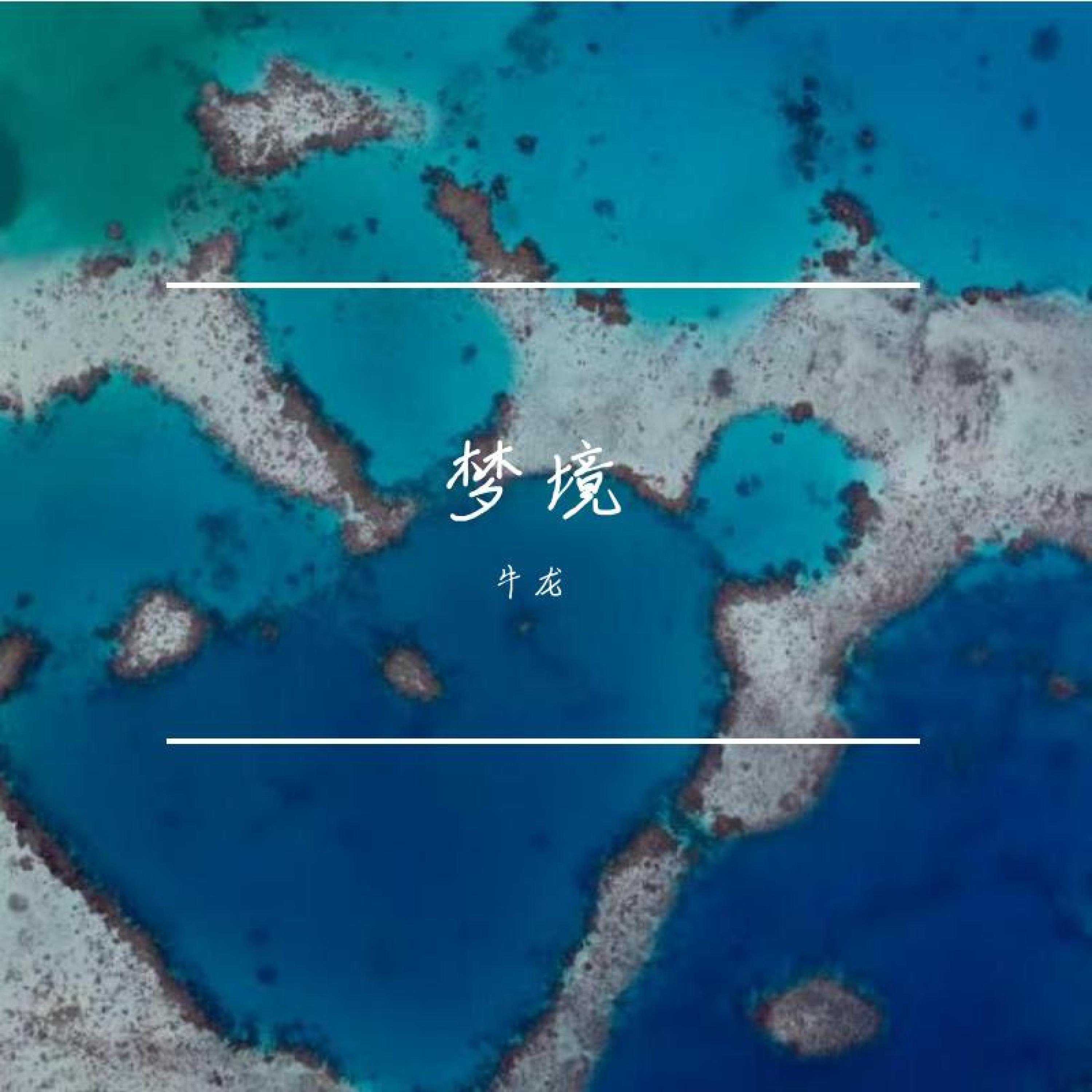 牛龙