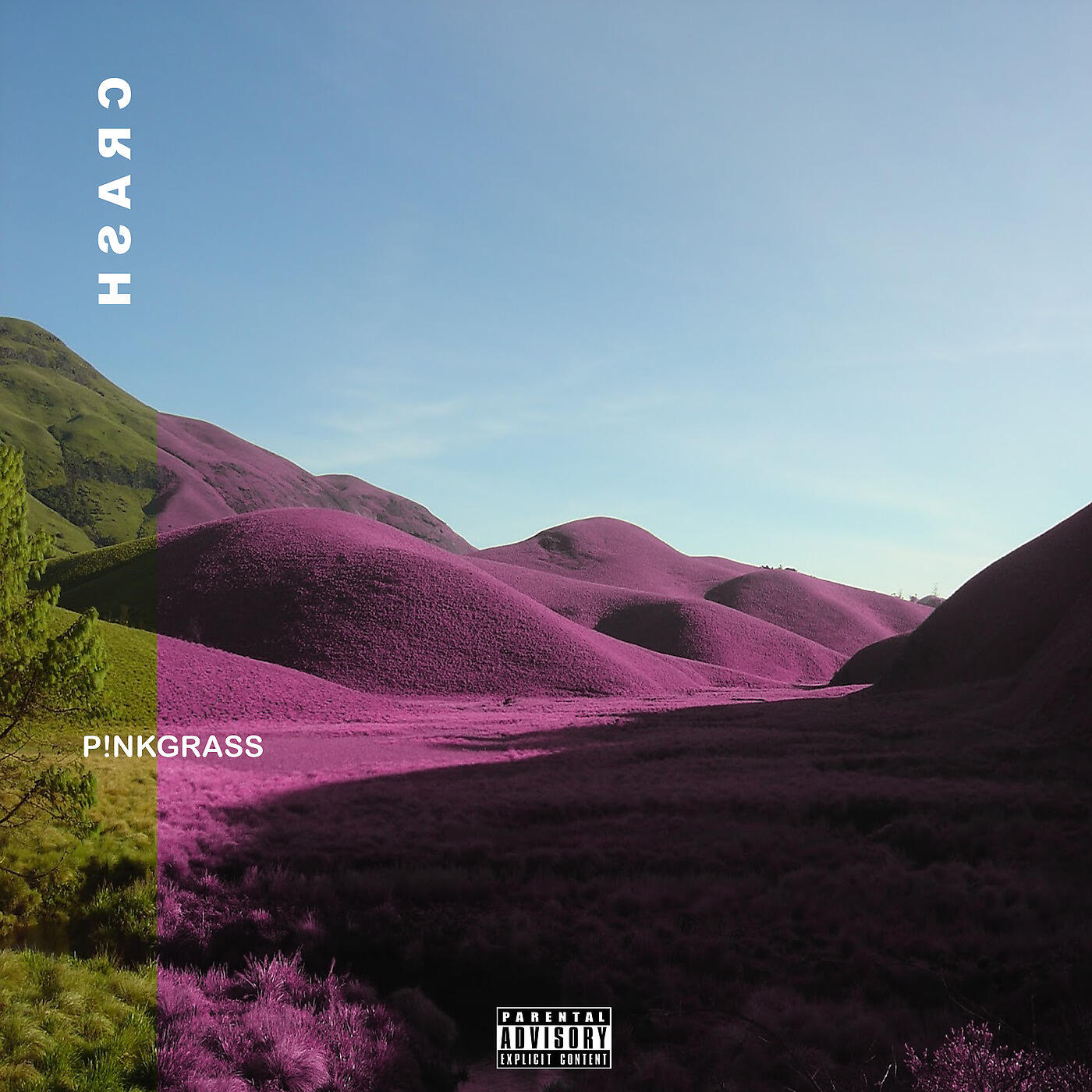 Скачать песню Pinkgrass, Oden, Theo Wild, T from Various - Crash бесплатно в MP3 для Android и iOS