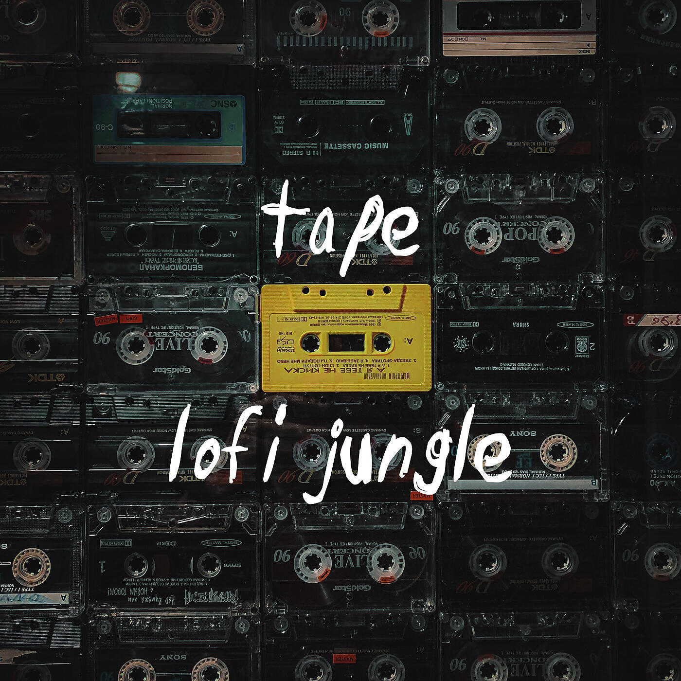 LOFI JUNGLE