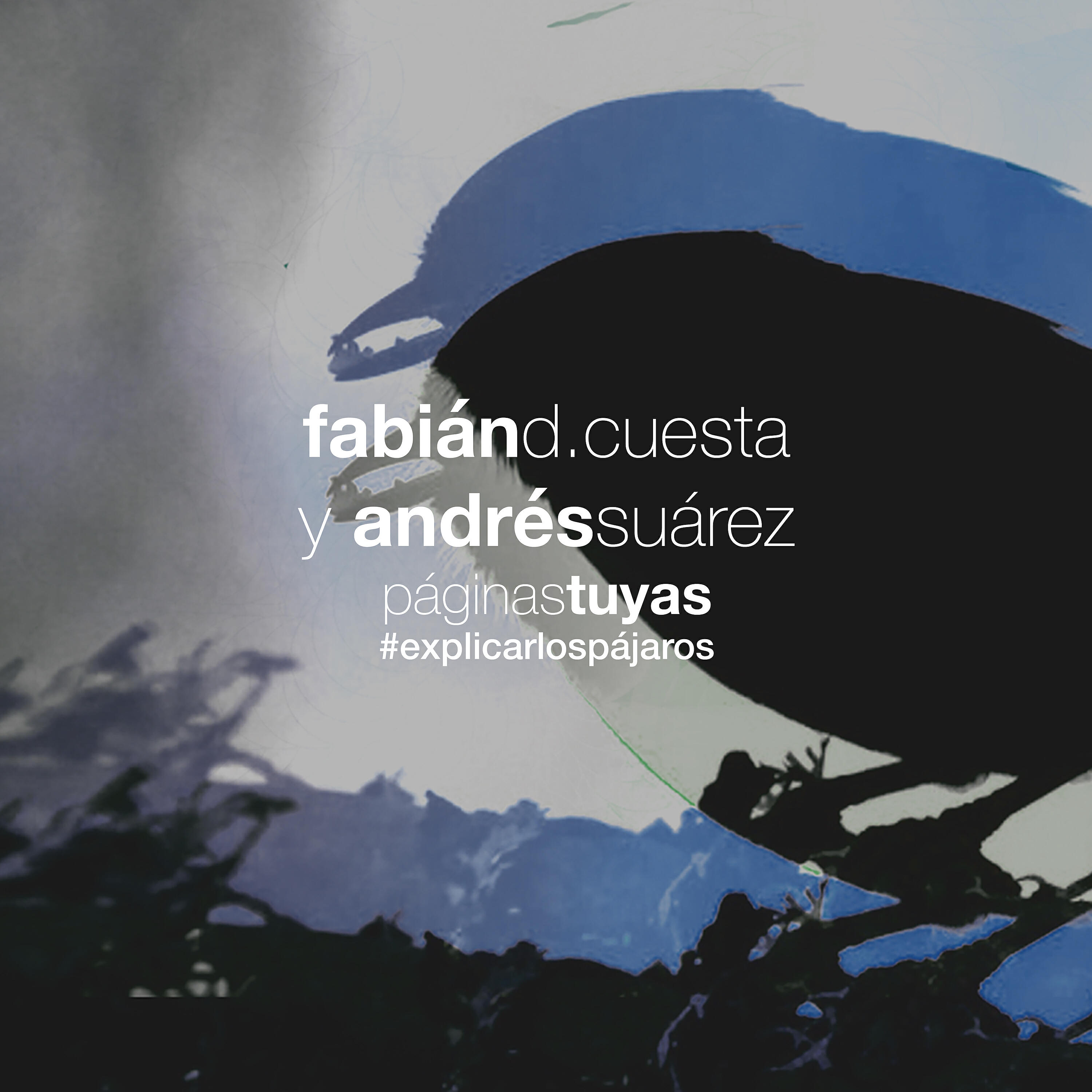 Релиз Páginas tuyas - Explicar los pájaros