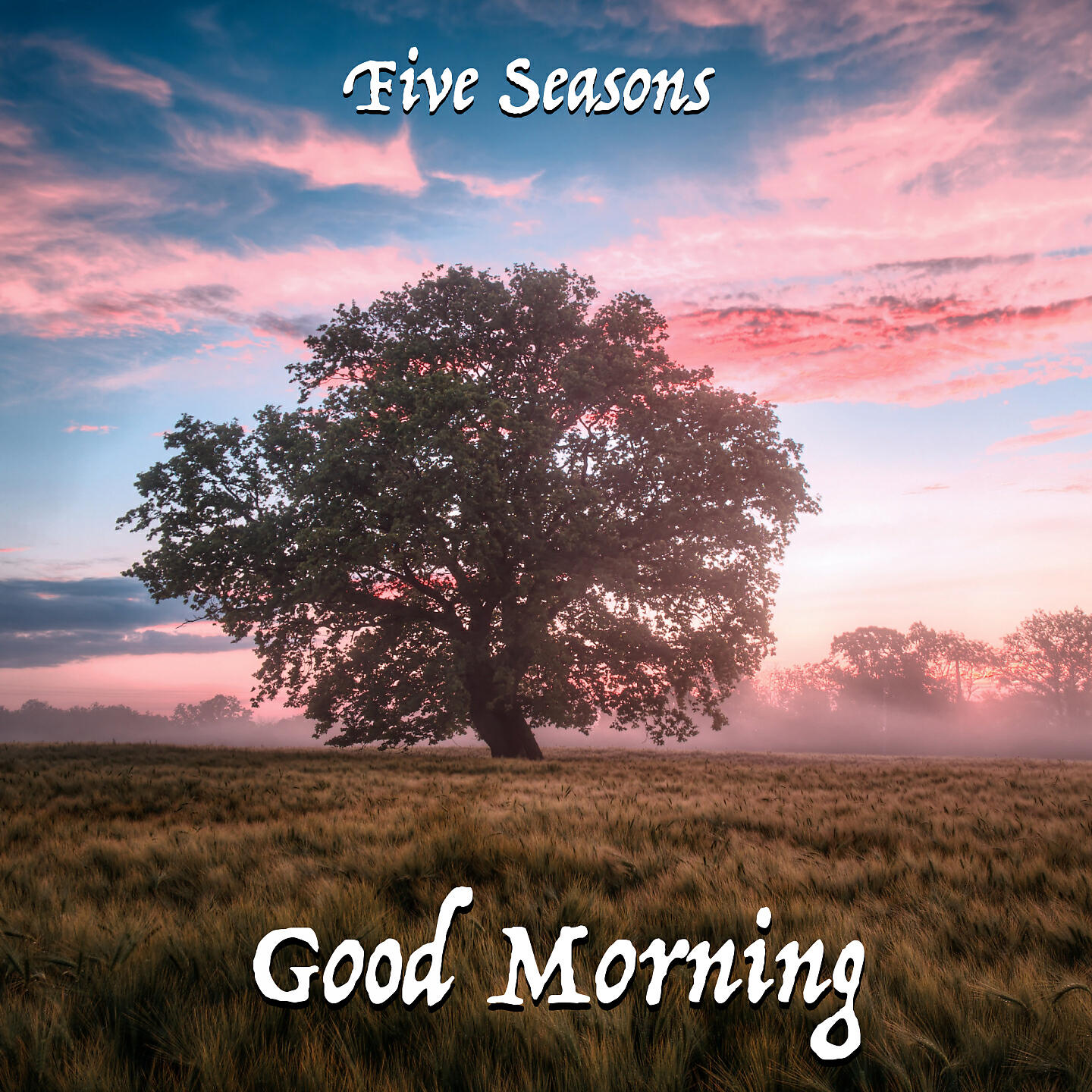 Релиз Good Morning
