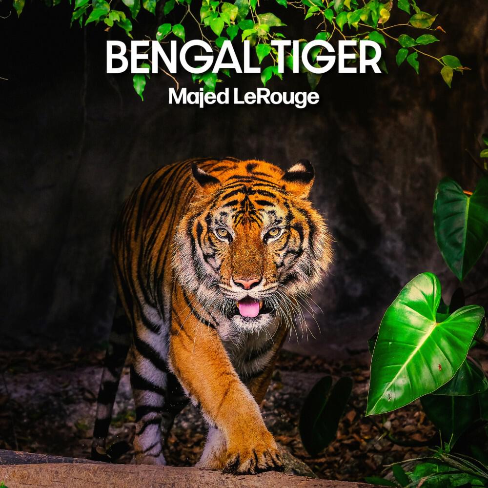 Релиз Bengal Tiger