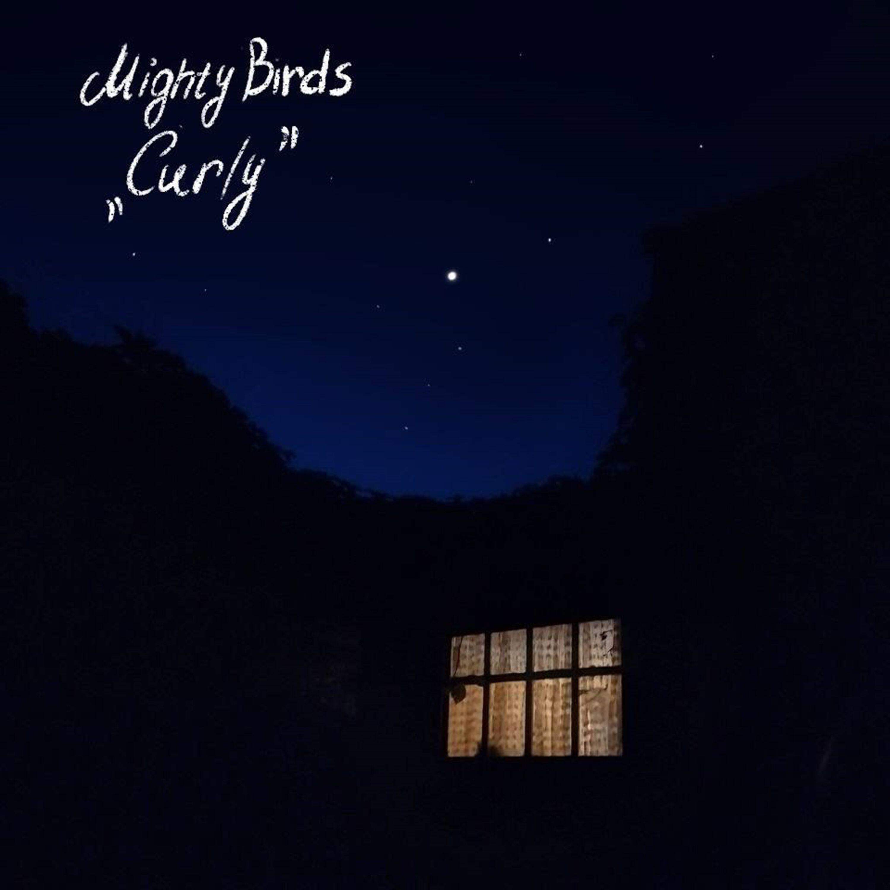 Mighty Birds