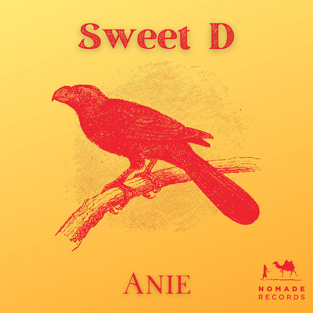 Релиз Anie