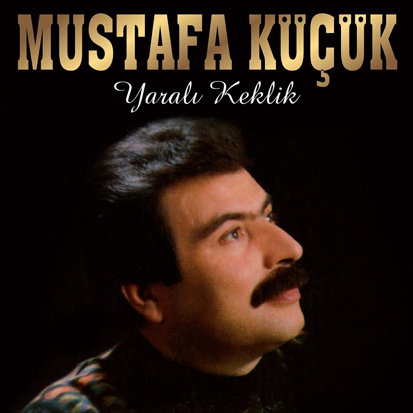 Релиз Yaralı Keklik