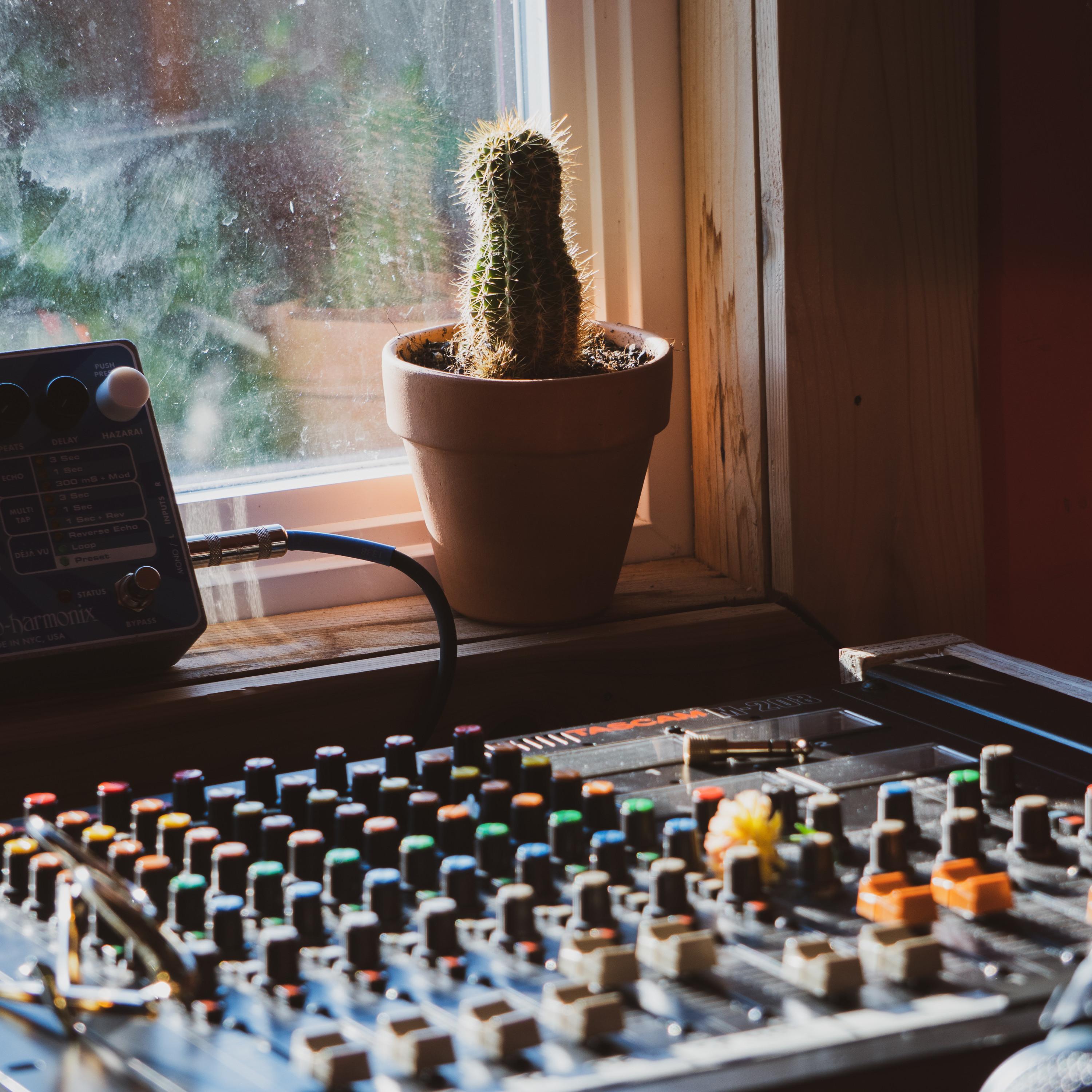 _houseplants