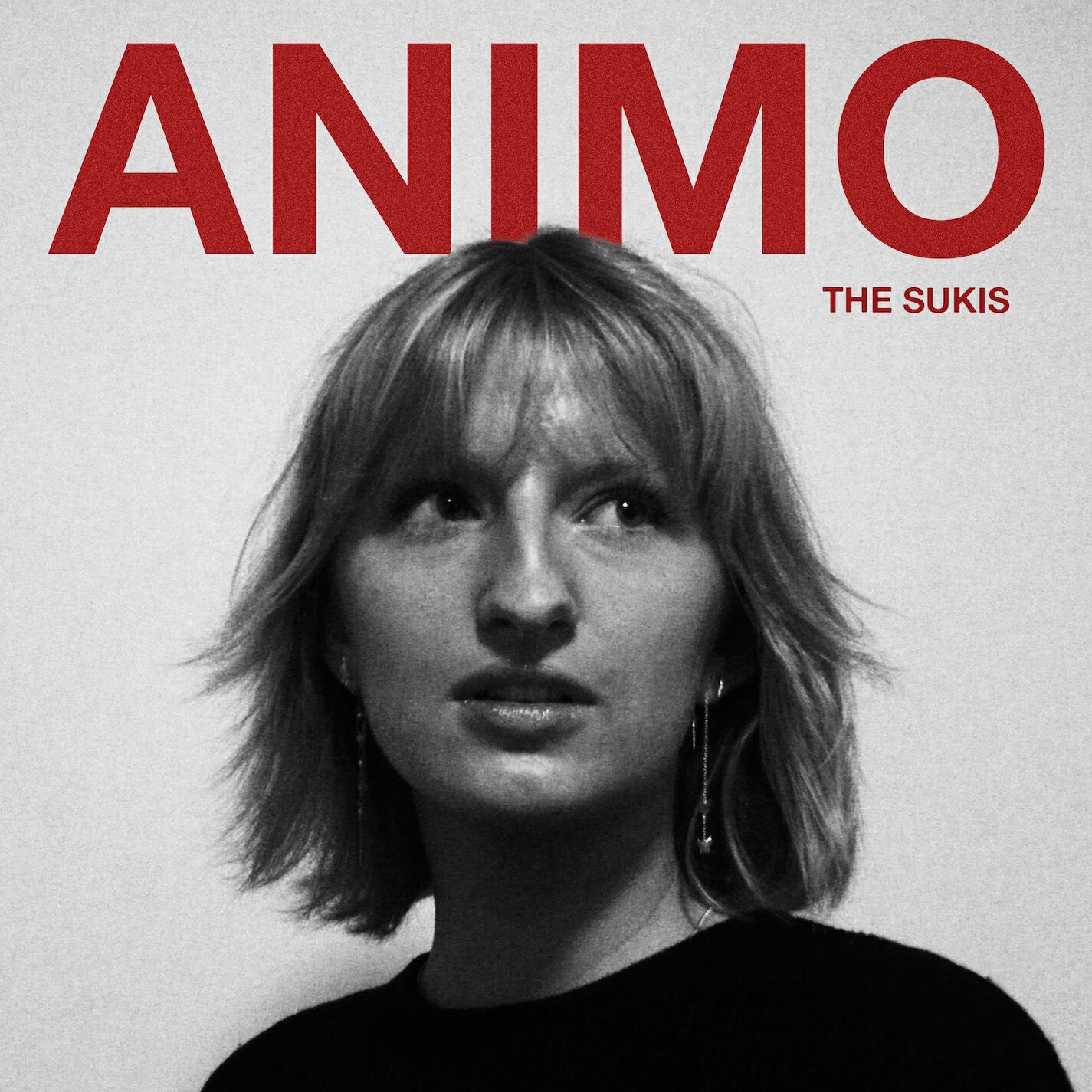 Релиз Animo