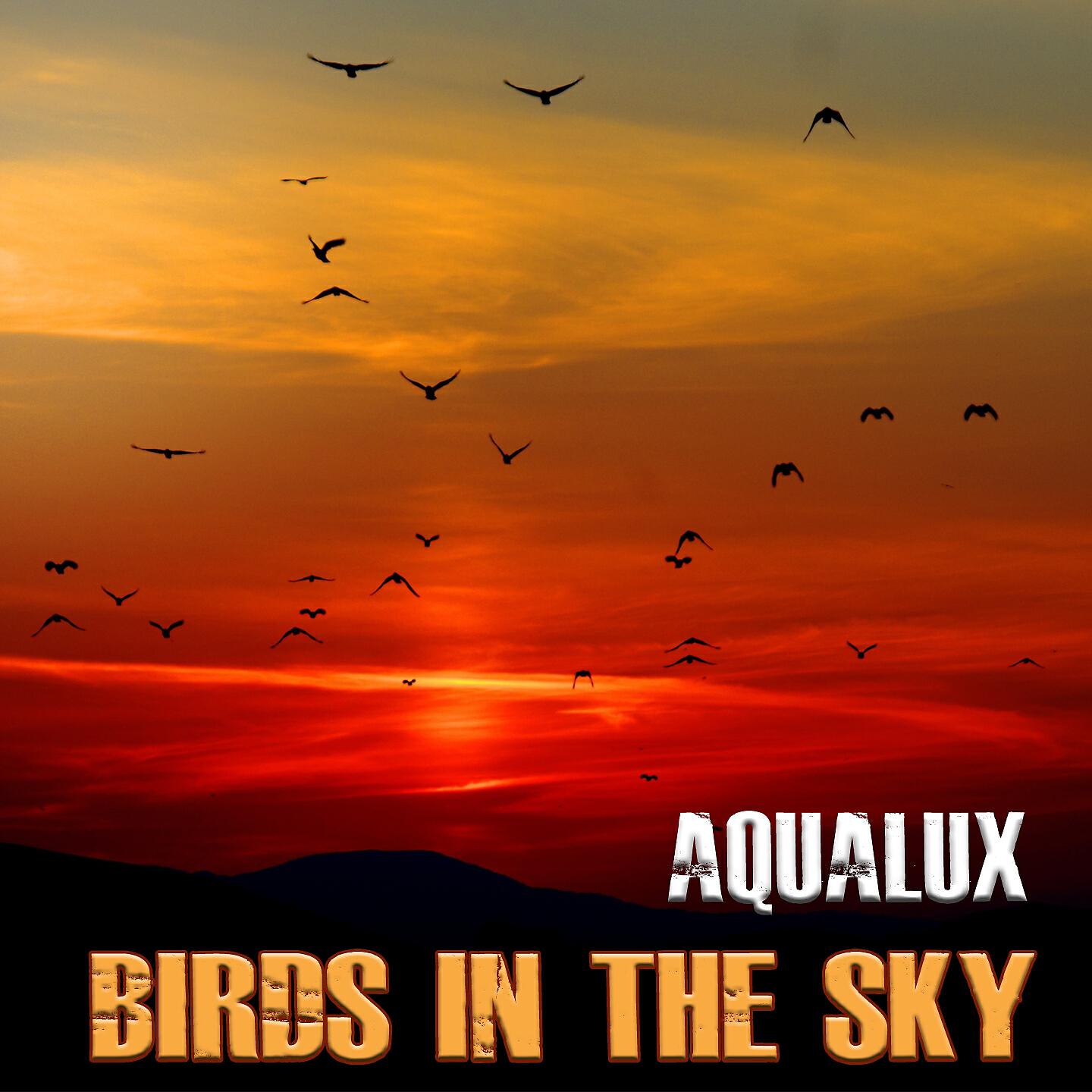 Релиз Birds In The Sky