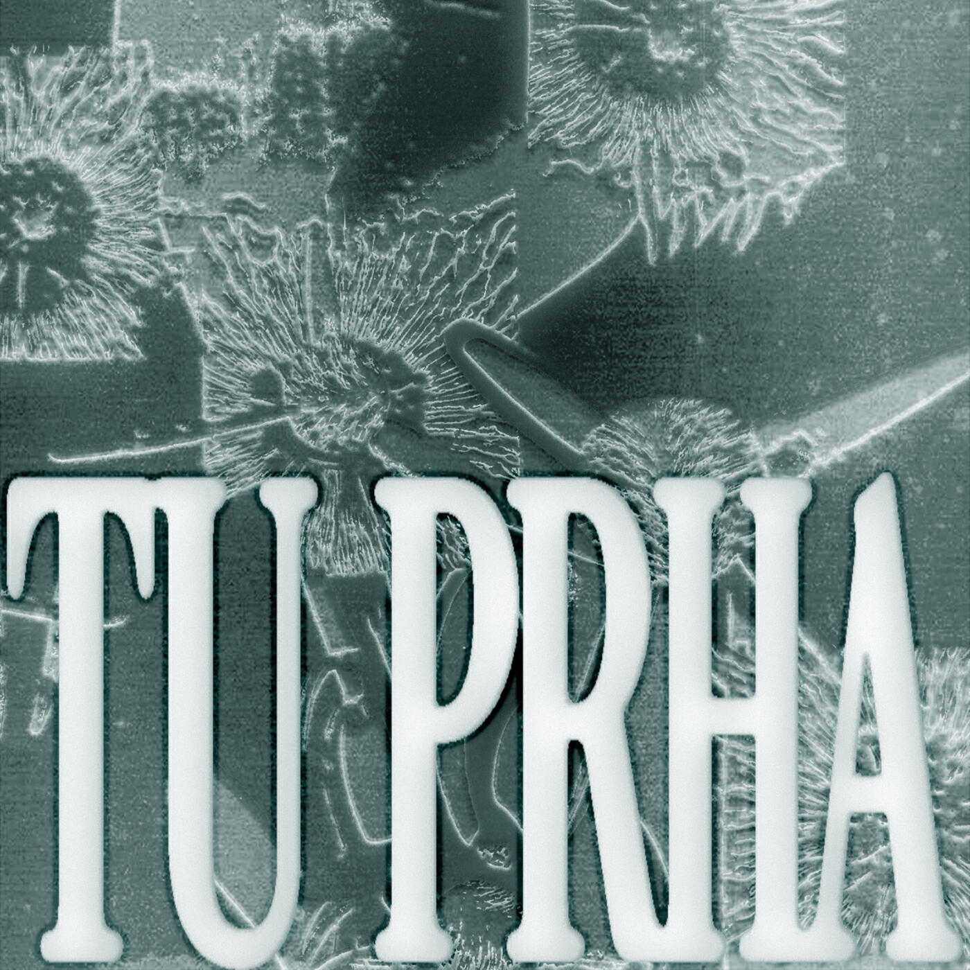 Релиз Tu PrHa
