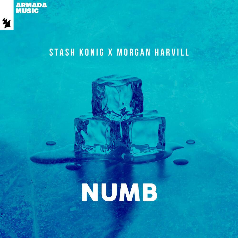 Релиз Numb